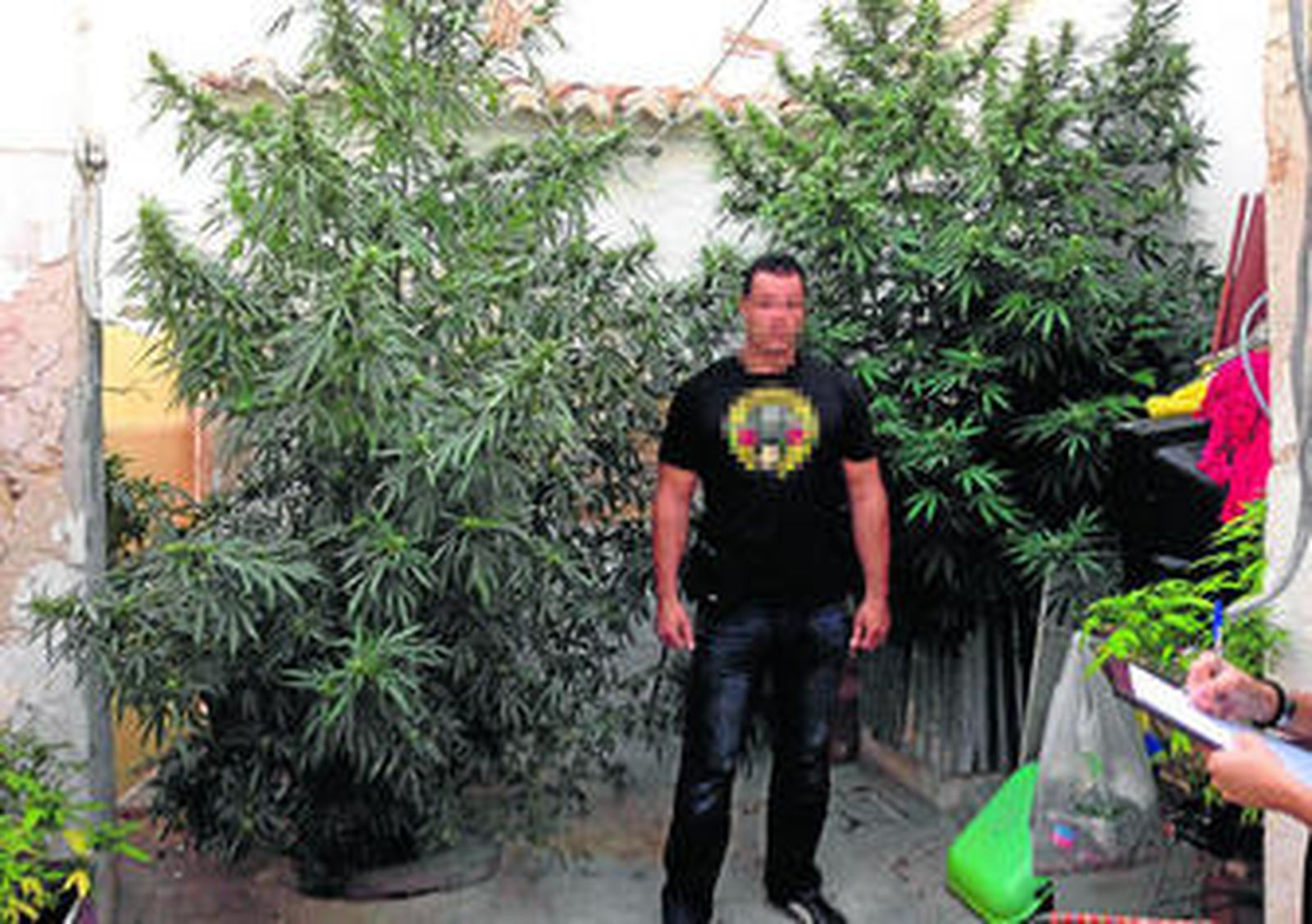 Las plantas intervenidas en la operación.