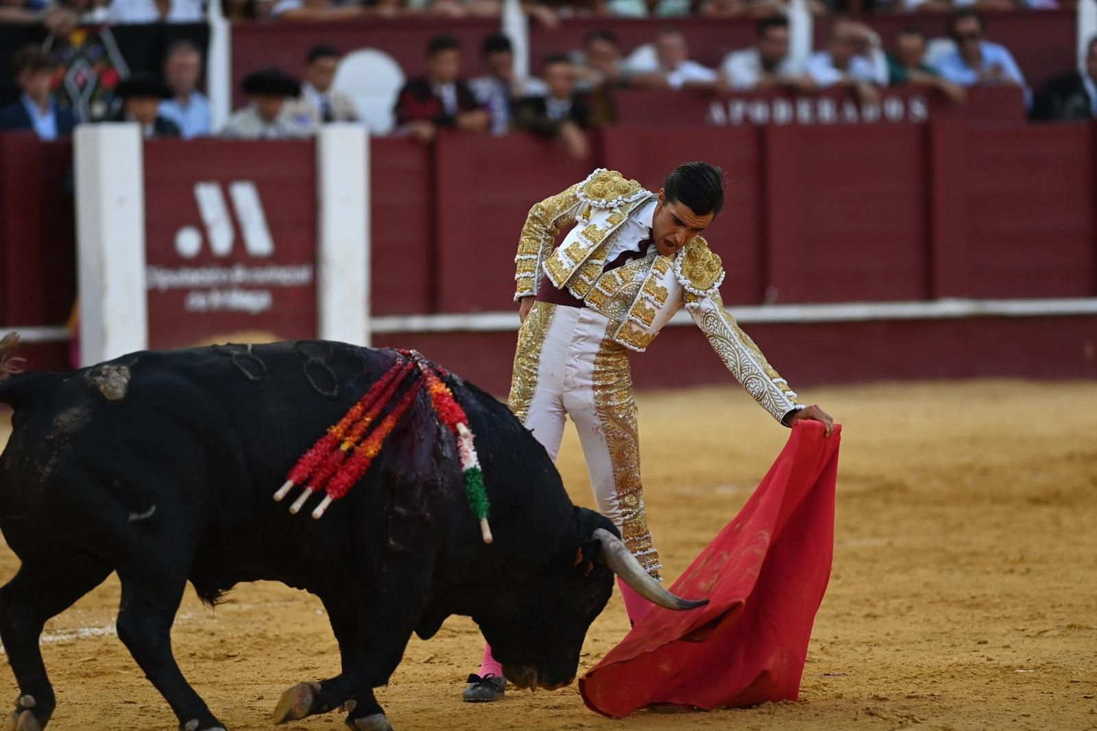 Ángel Téllez torea al natural en La Malagueta.