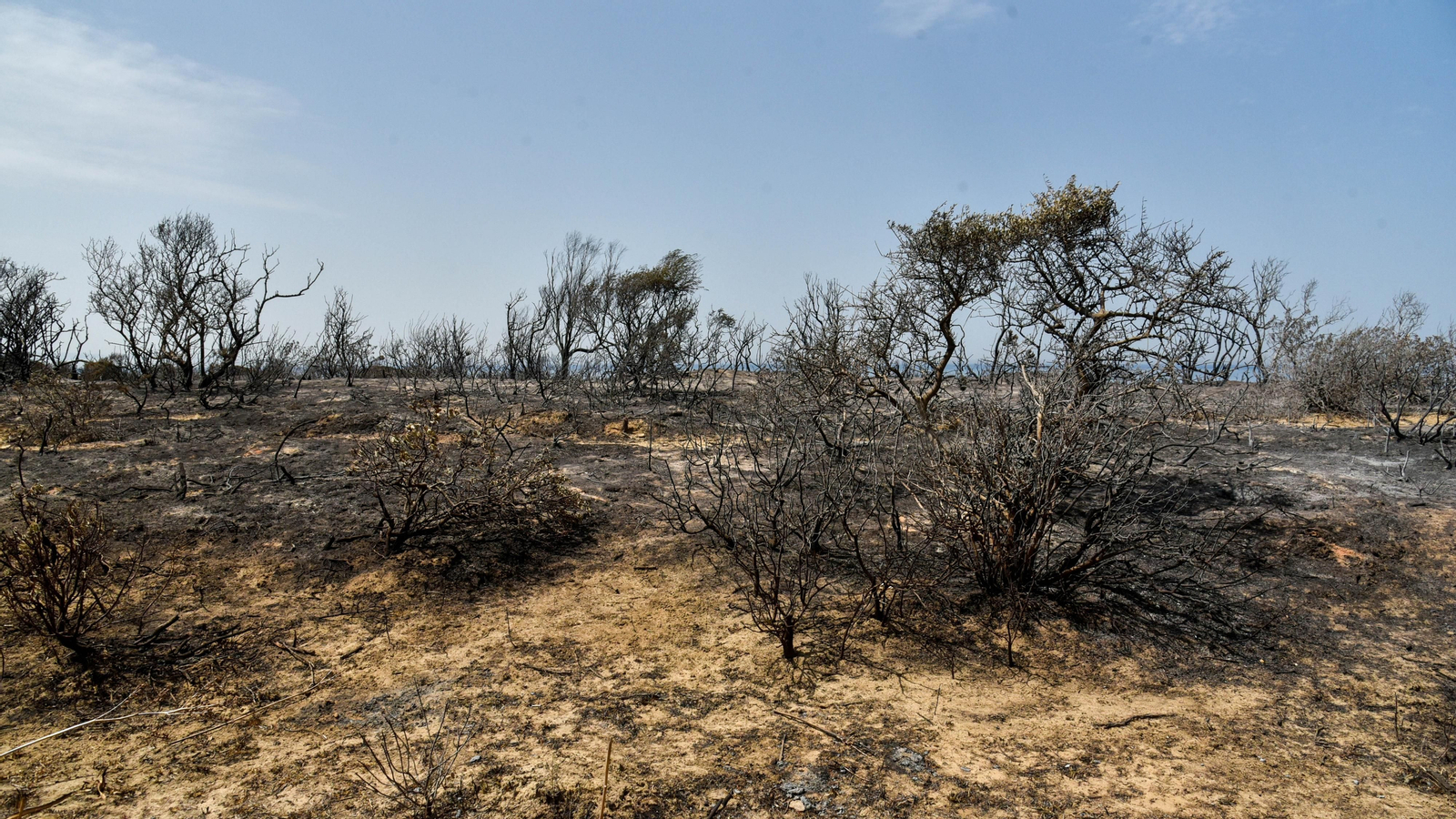 Fotos del incendio de Valdevaqueros que arrasó con 11 hectáreas de Parque Natural del Estrecho Las fotos de la zona afectada por el incendio de Valdevaqueros