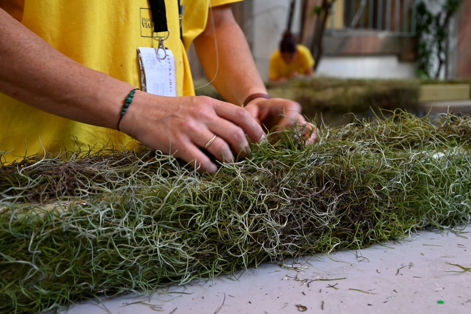 El avance de las creaciones de Flora, en imágenes