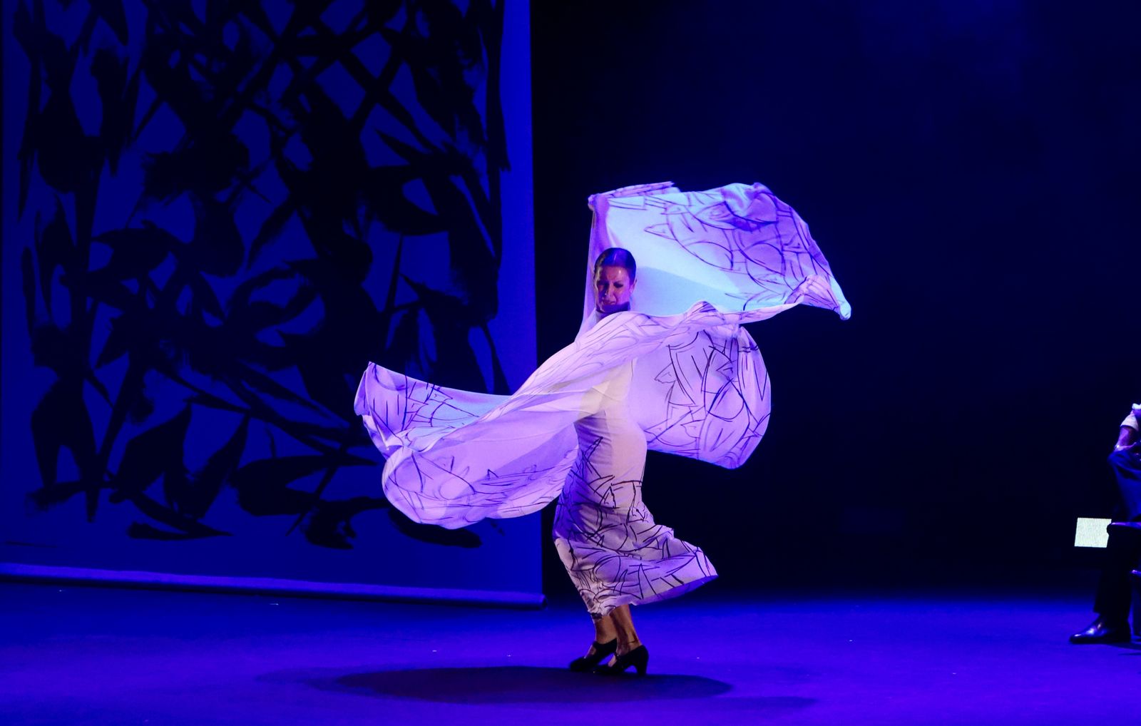 Sara Baras…..Vuela!!