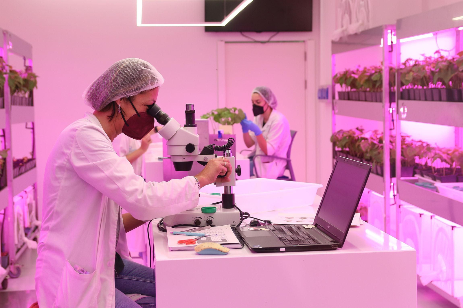 Fotogalería de la visita de Juan Marín a Kimitec, al PITA y a Unica Group