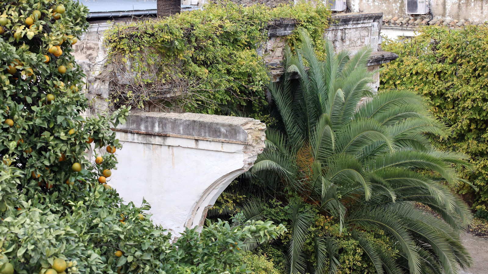 Se derrumba uno de los muros del interior del Palacio Riquelme en Jerez