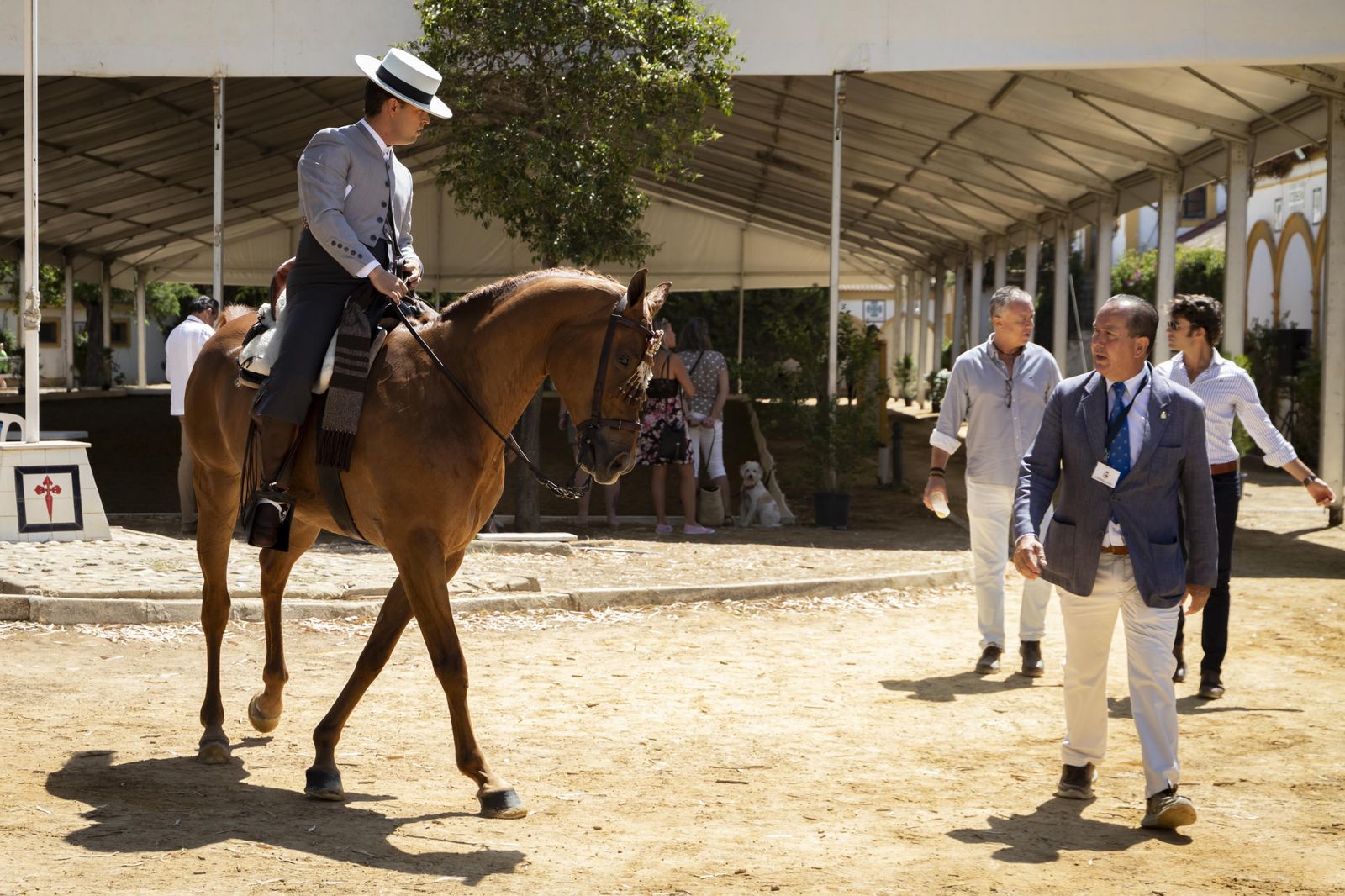 Final del concurso de Doma Vaquera 2023 en el Depósito de Sementales