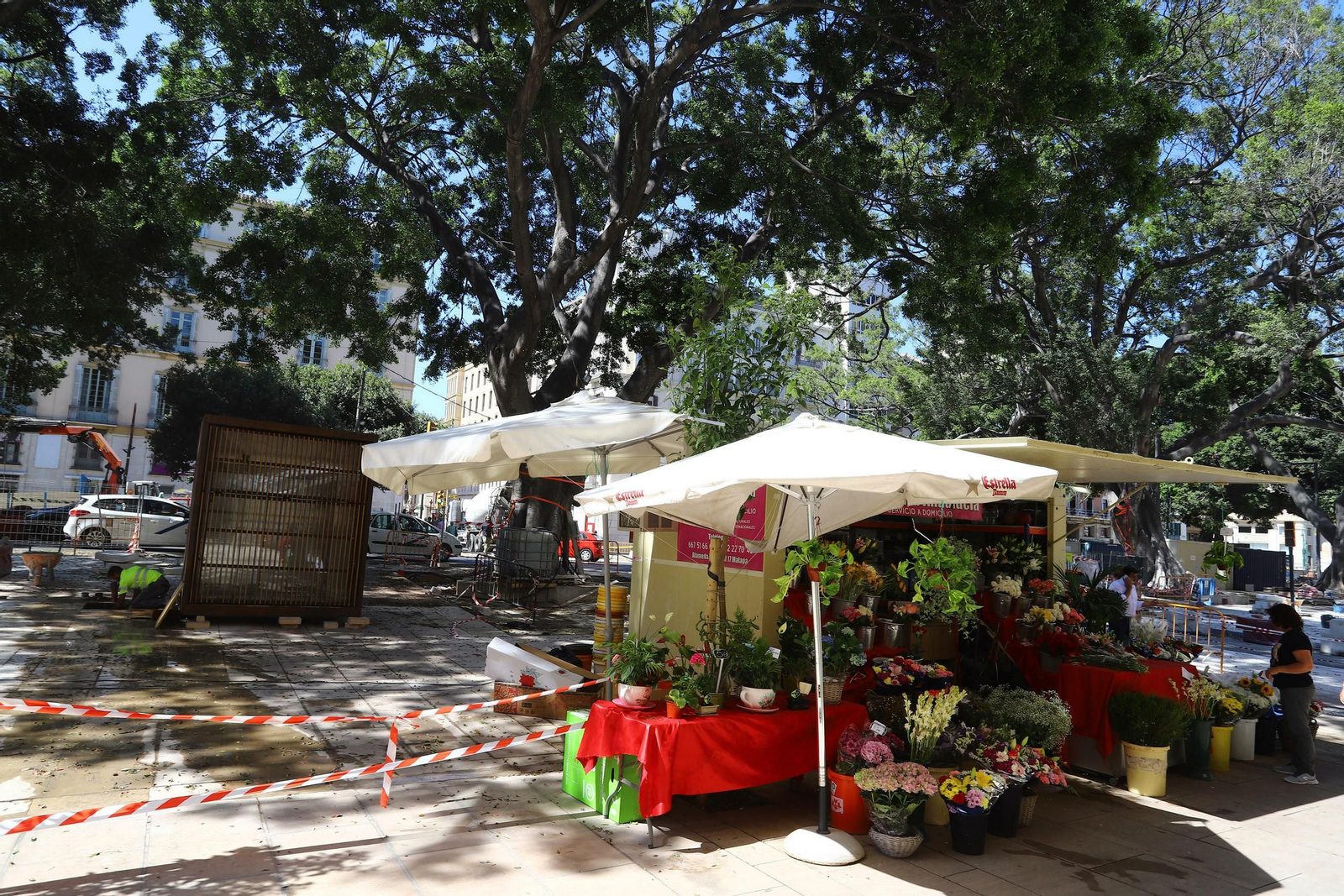 Las fotos de los nuevos puestos de flores de la Alameda