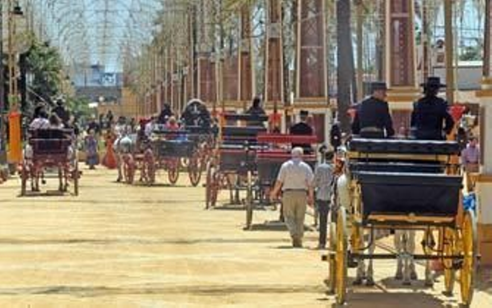 Caballos en potencia