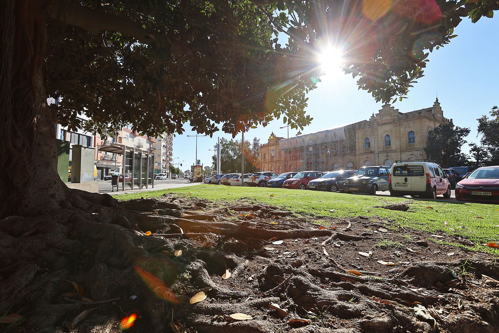 Las imágenes más destacadas del martes 20 de febrero en Huelva