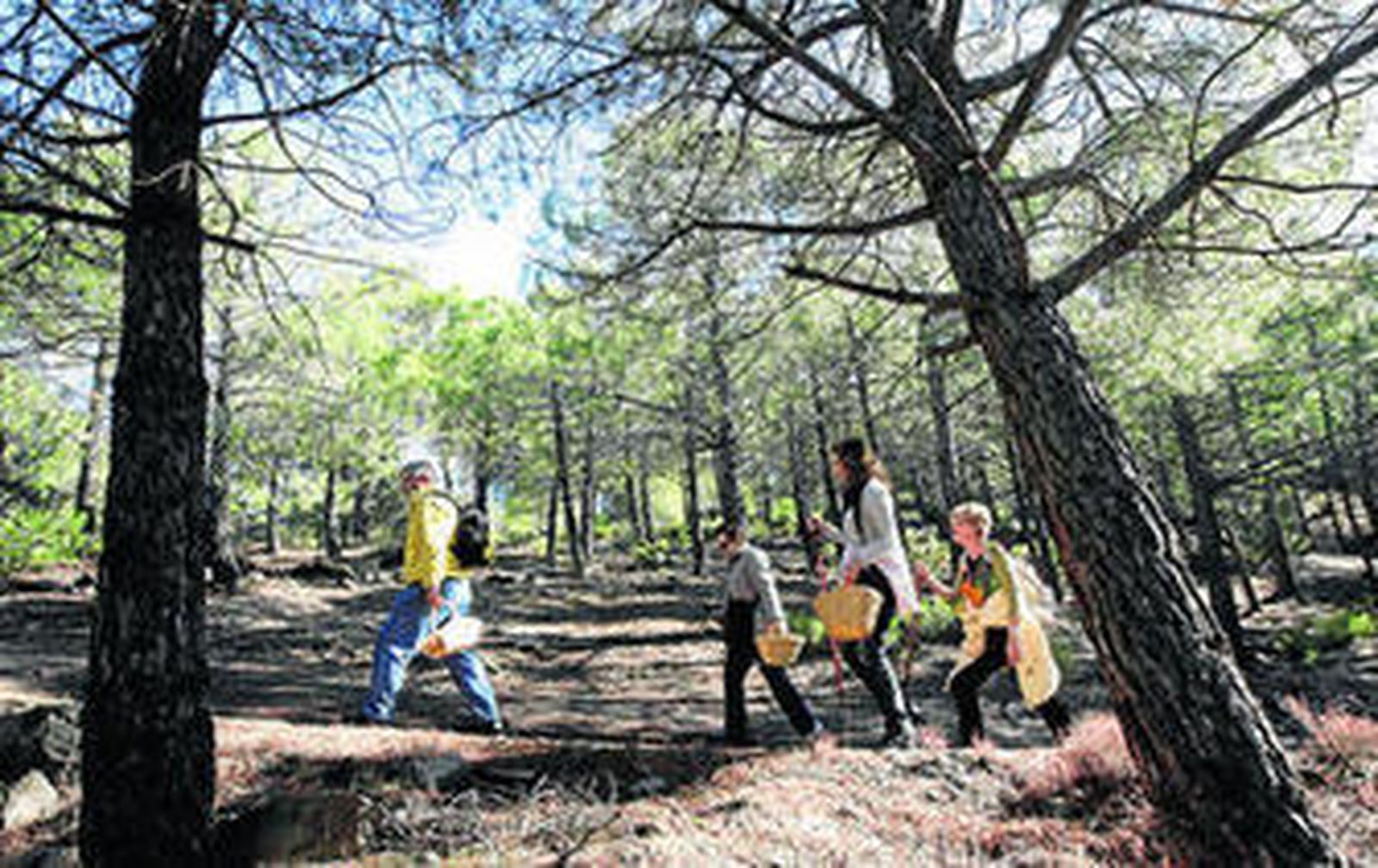 A falta de setas, un saludable paseo por el monte de El Serbal