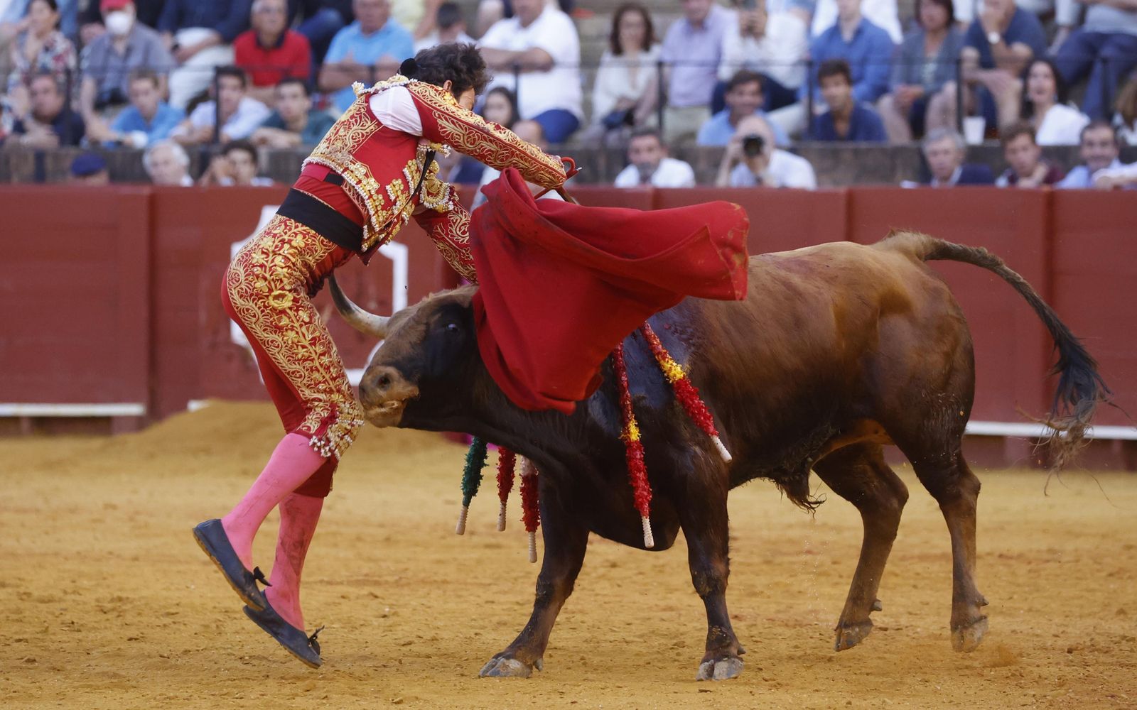 Las imágenes de la novillada en la Maestranza
