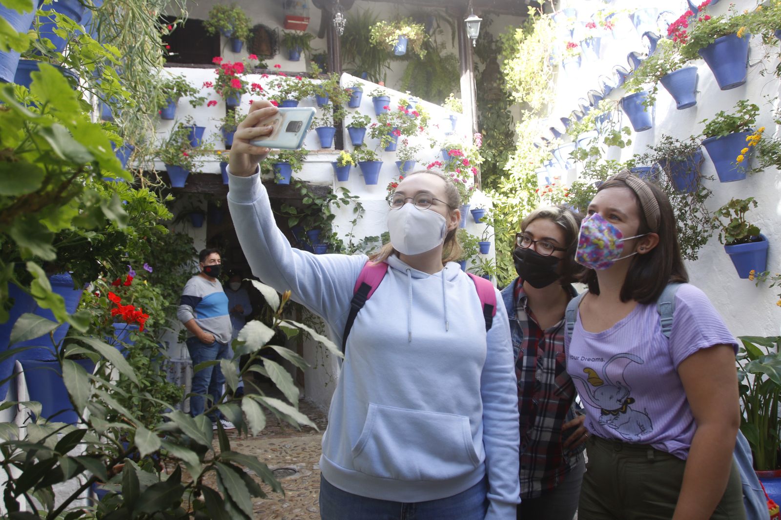 Las fotografías de los Patios de Córdoba en otoño