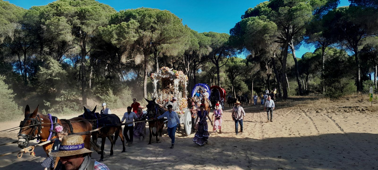 Imágenes de la Hermandad del Rocío de Jerez en el Coto