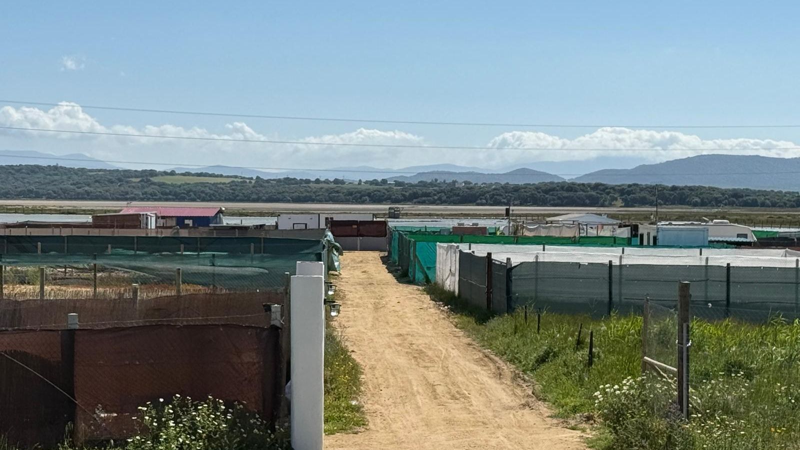 Vista más amplia de las parcelas ilegales precintadas en Barbate.