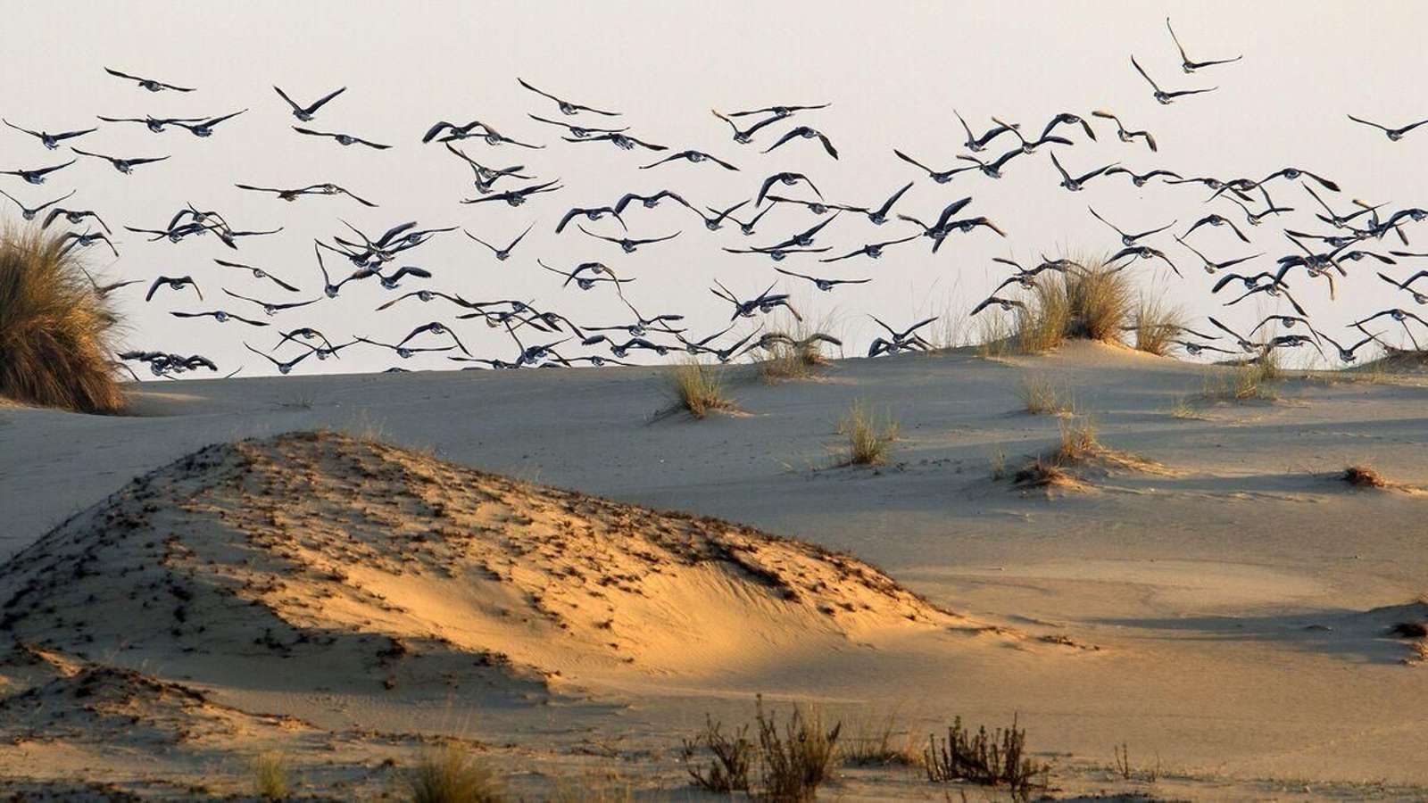 La mayor reserva ecológica de Europa