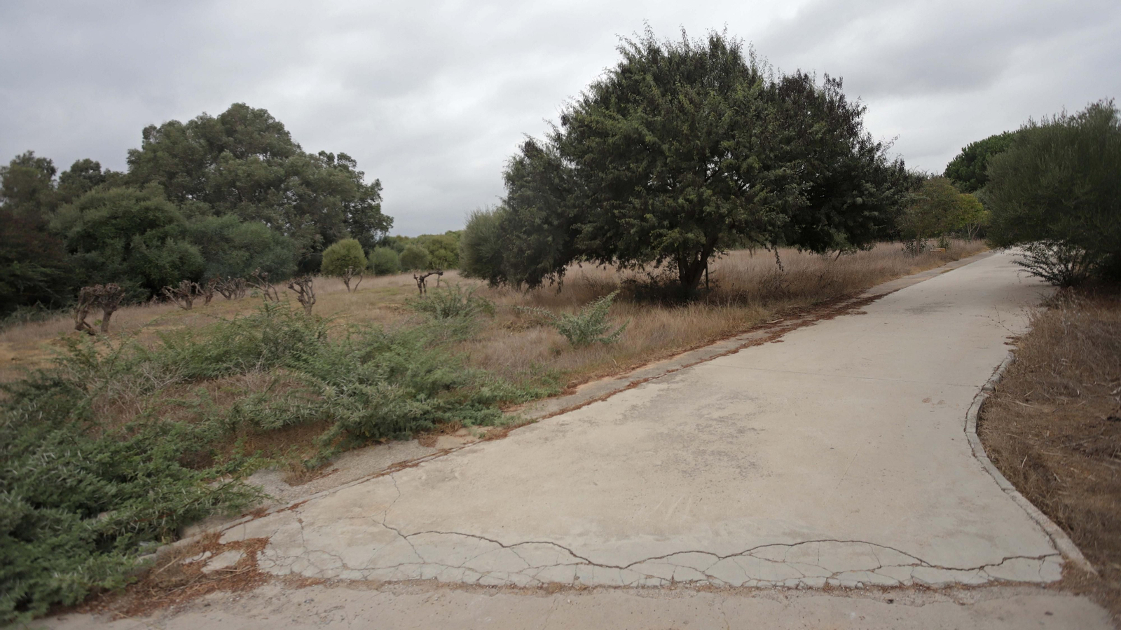 Fotos del parque del Torrejón en Algeciras
