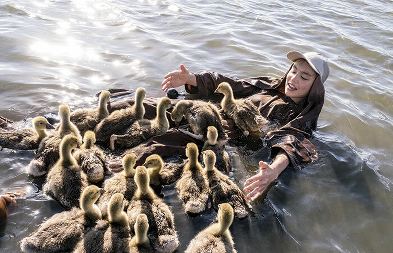 Una entrañable estampa de gansos y niño en 'Volando juntos'.