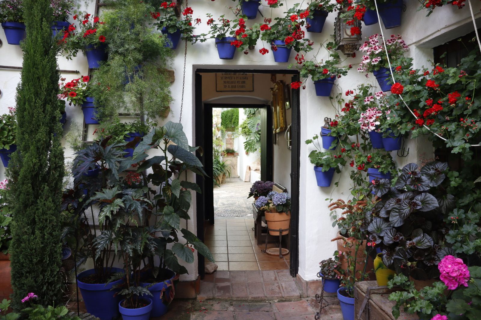 Ruta de los patios de San Lorenzo