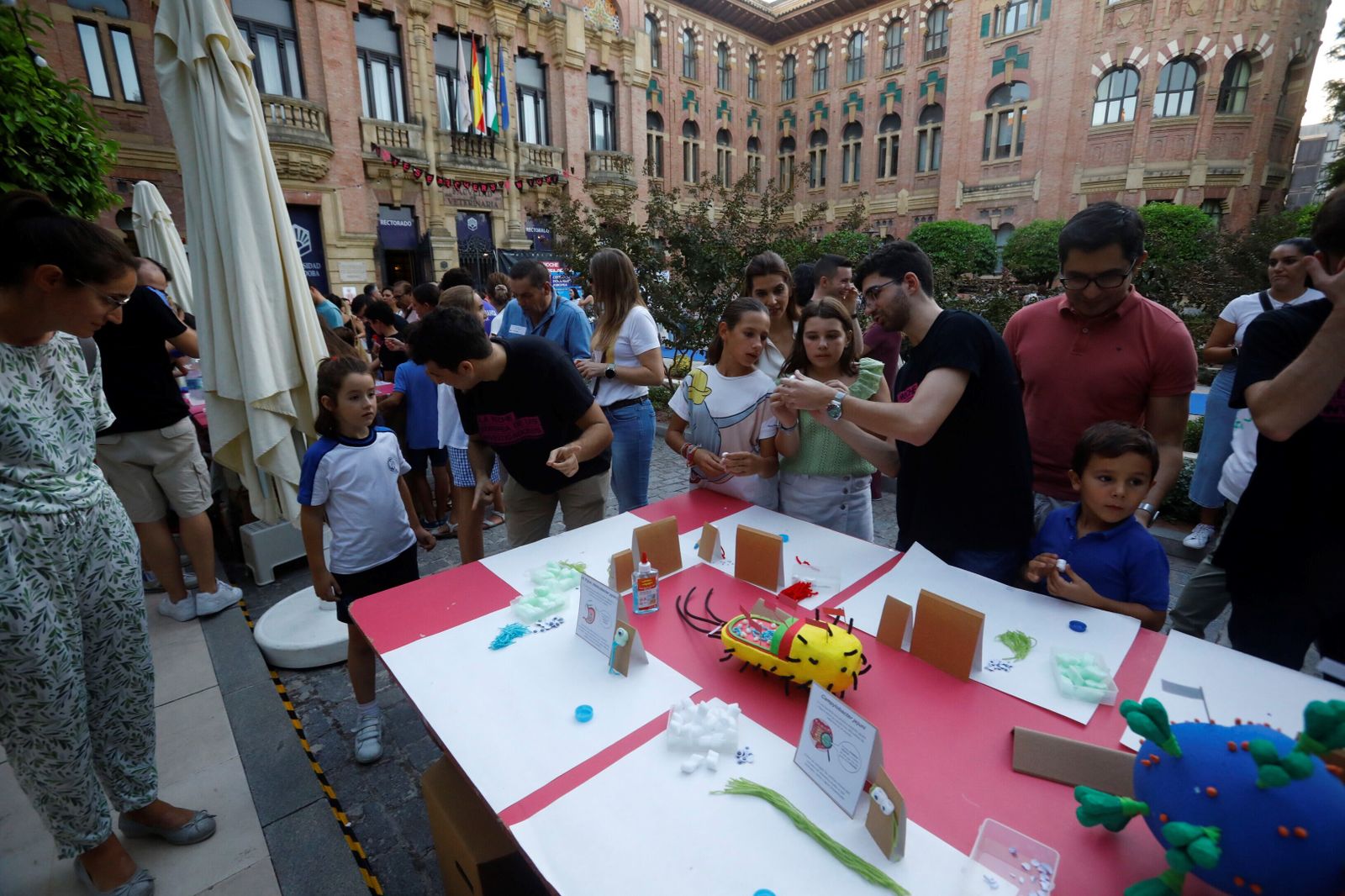 La Noche de los Investigadores de Córdoba, en imágenes