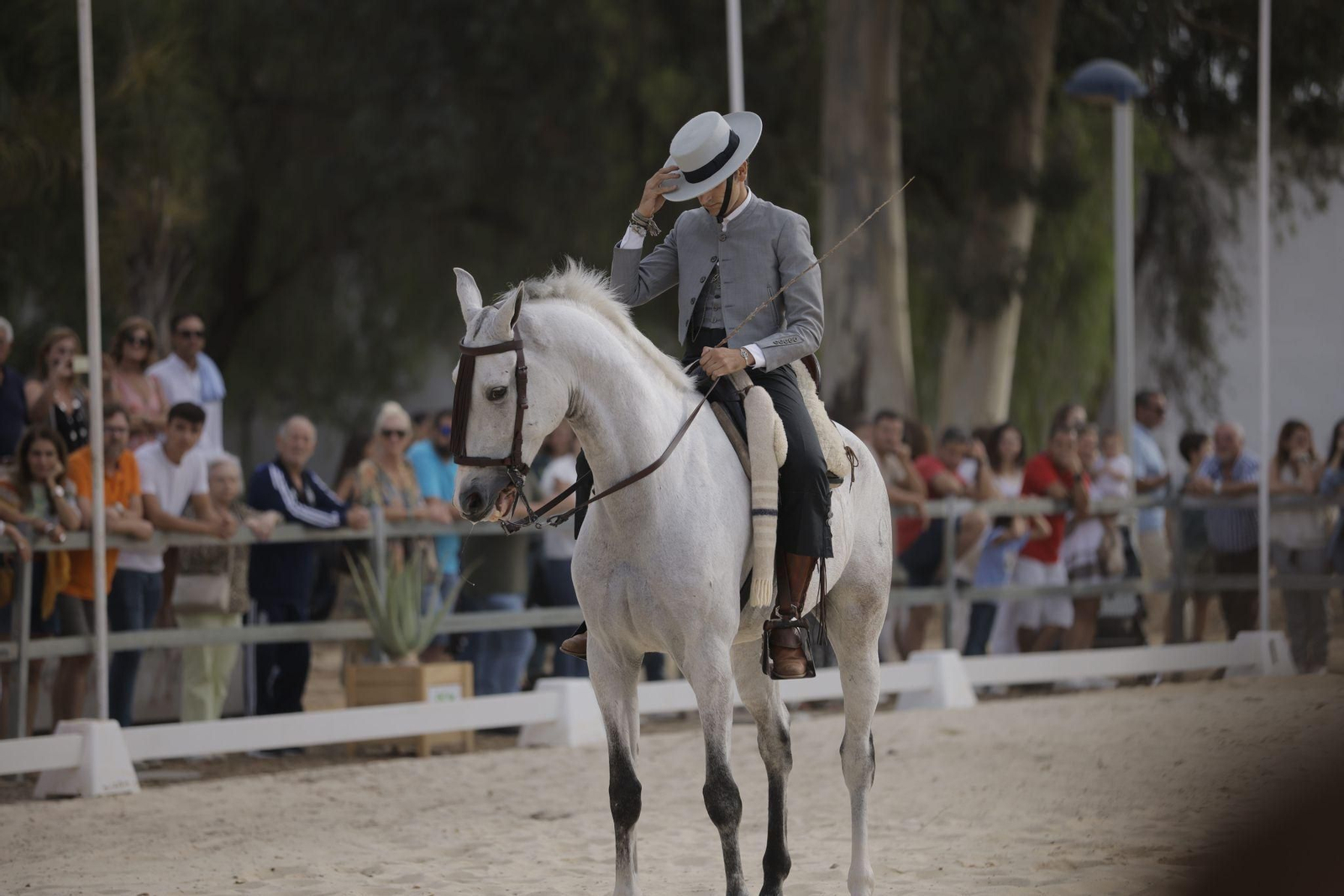 Feria del Caballo 2023: Así han sido las exhibiciones de las escuelas hípicas de Huelva