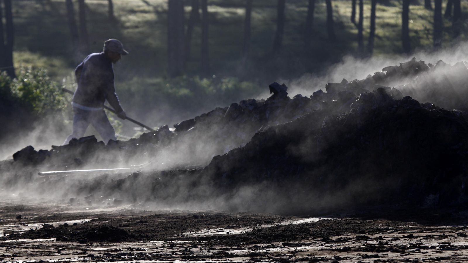 Carbonero en Cartaya