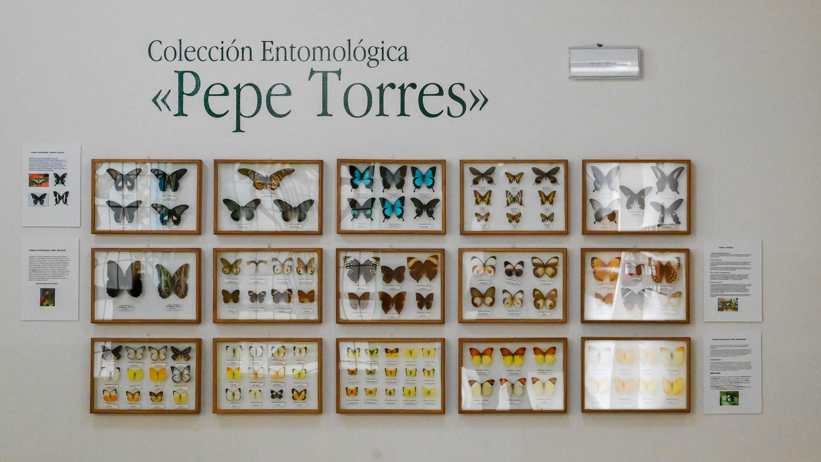Las fotos de la colección etimologica de Pepe Torres en el Museo Cruz Herrera