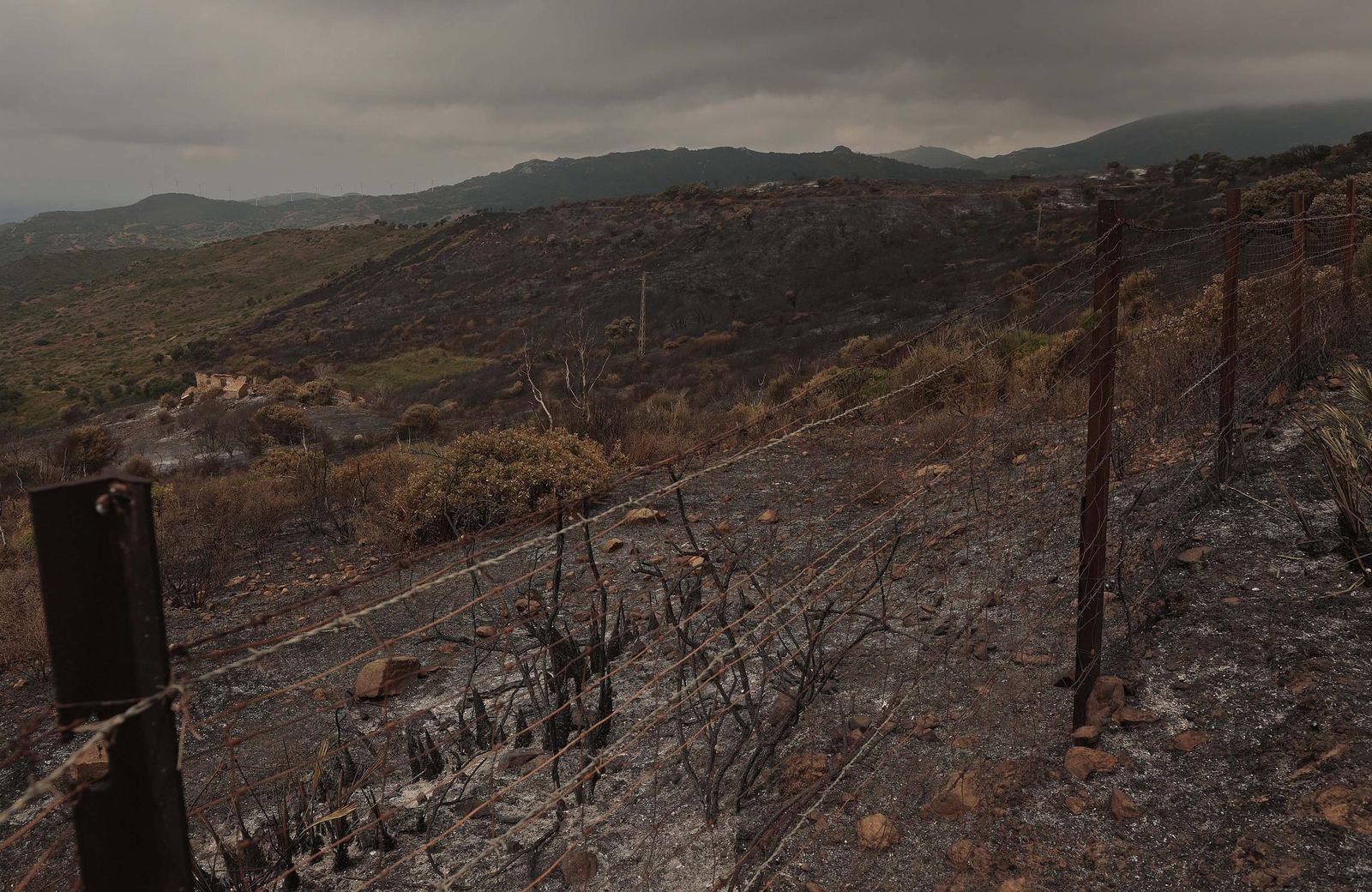 Fotos de los efectos del incendio en el Puerto del Laurel en Algeciras