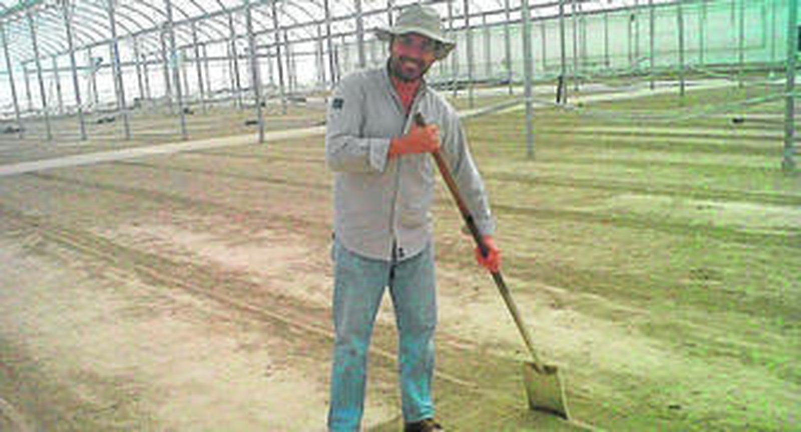 Fulgencio Rodríguez Alonso, en uno de los invernaderos de México, donde trabaja desde hace ya nueve años.