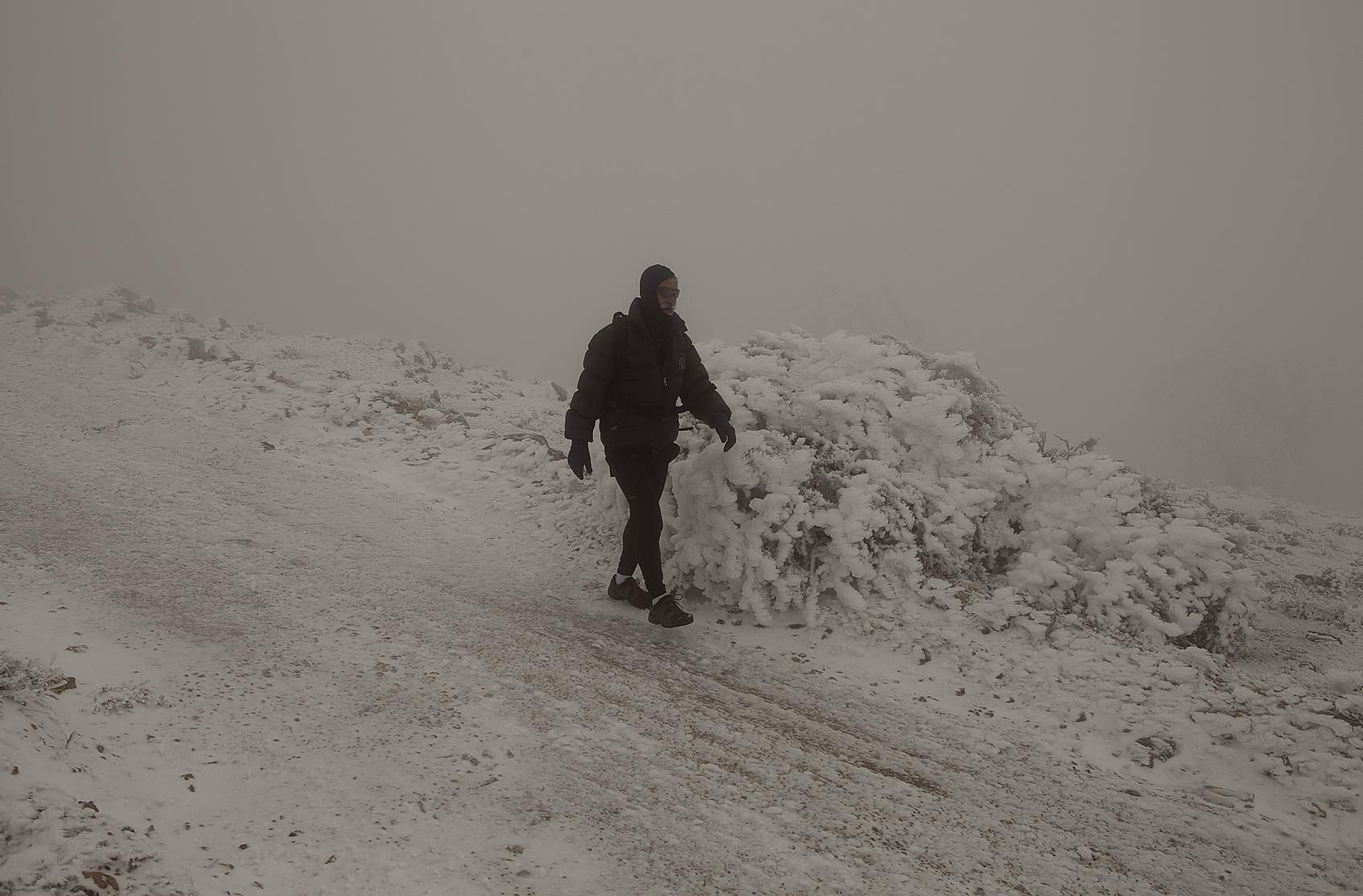 La Sierra de las Nieves, en fotos