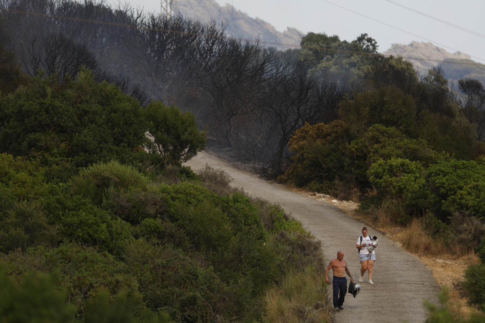 Las fotos del incendio forestal entre la Torre y Valdevaqueros en Tarifa