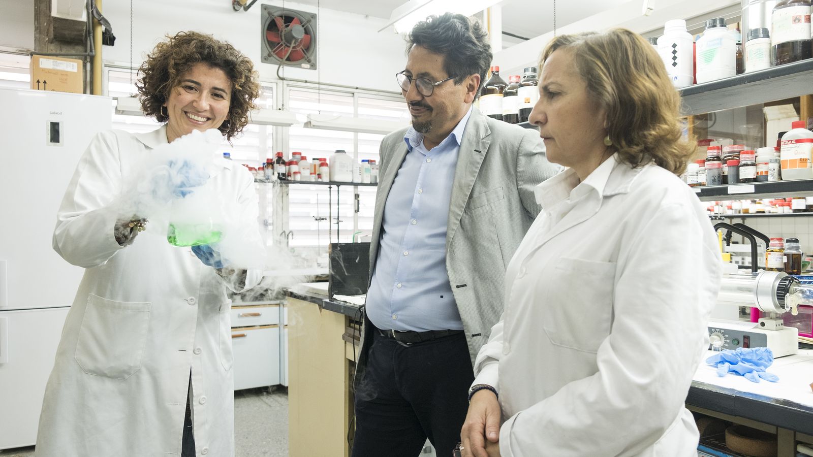 Investigadores de la Universidad de Sevilla y del CSIC