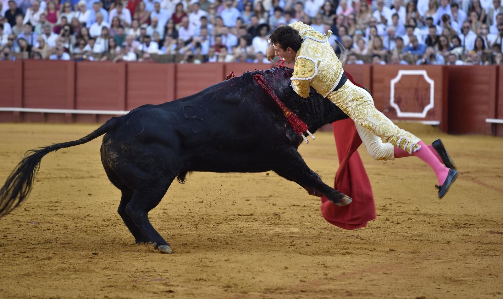 La segunda corrida de la Feria de San Miguel, en imágenes