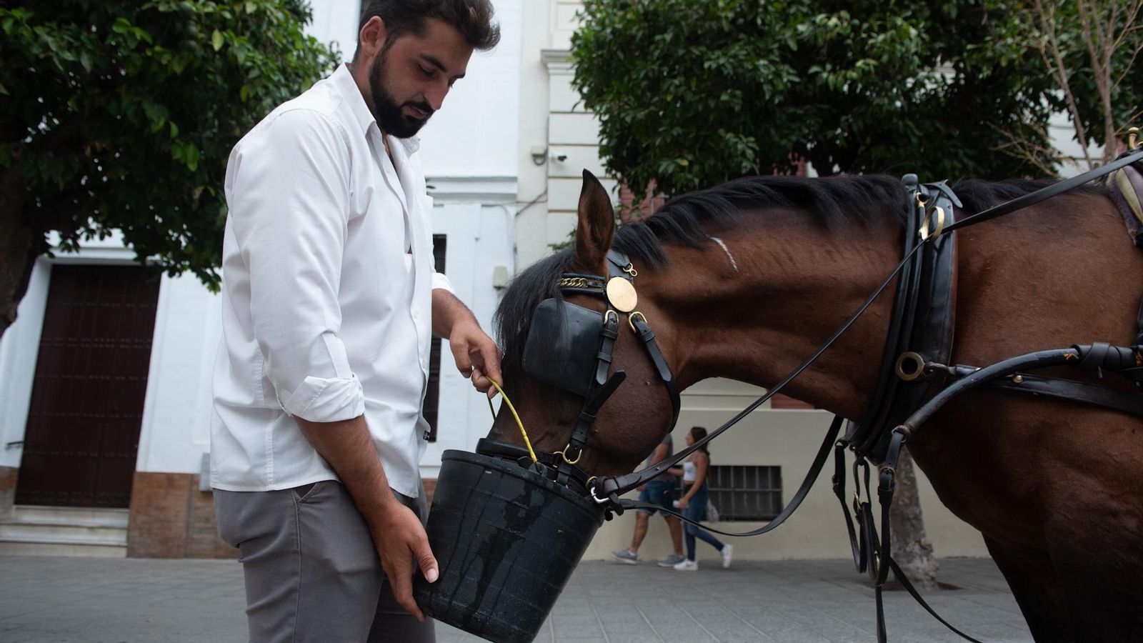 Uno de los cocheros suministra agua a su caballo.