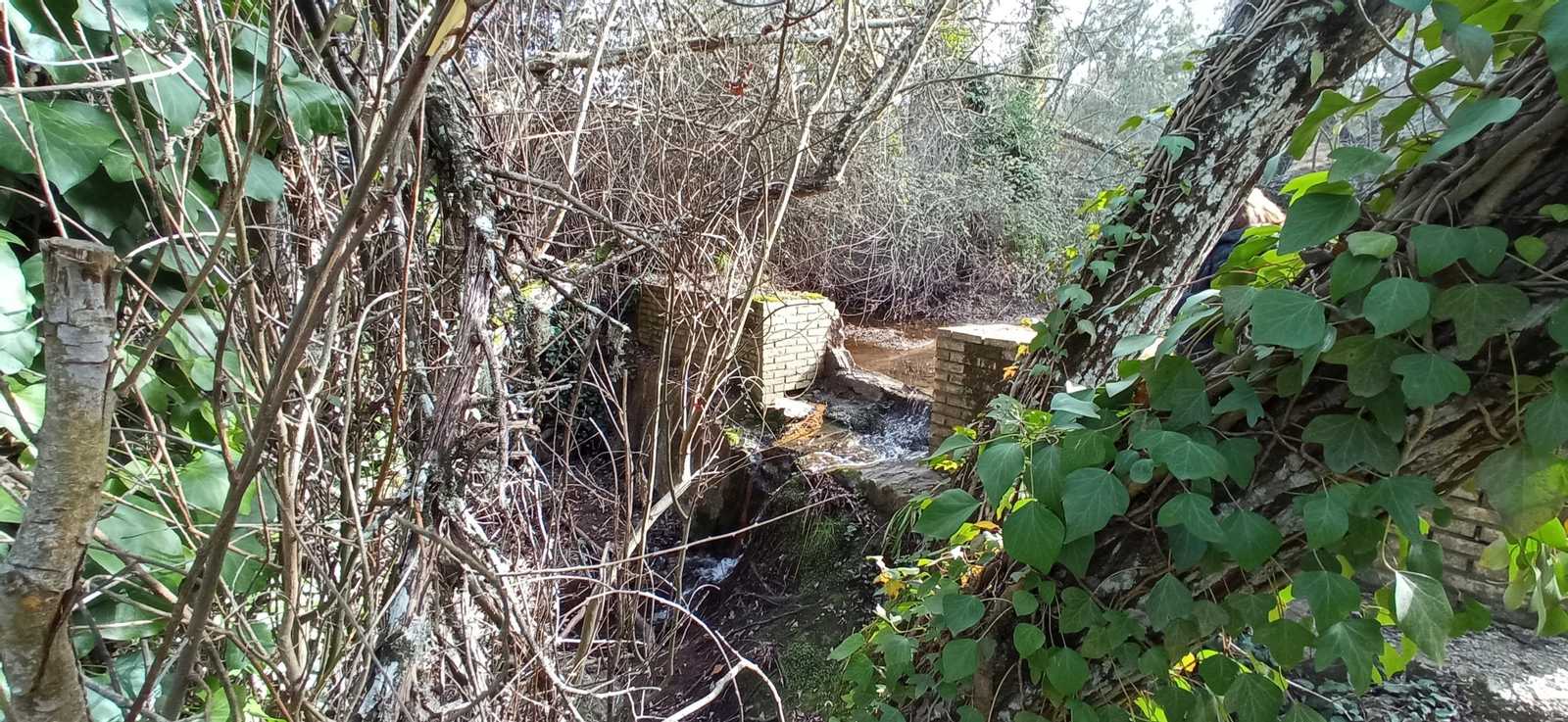 Las imágenes de la ruta de la Dehesa de Valdelama: De Los Marines a Fuenteheridos y vuelta