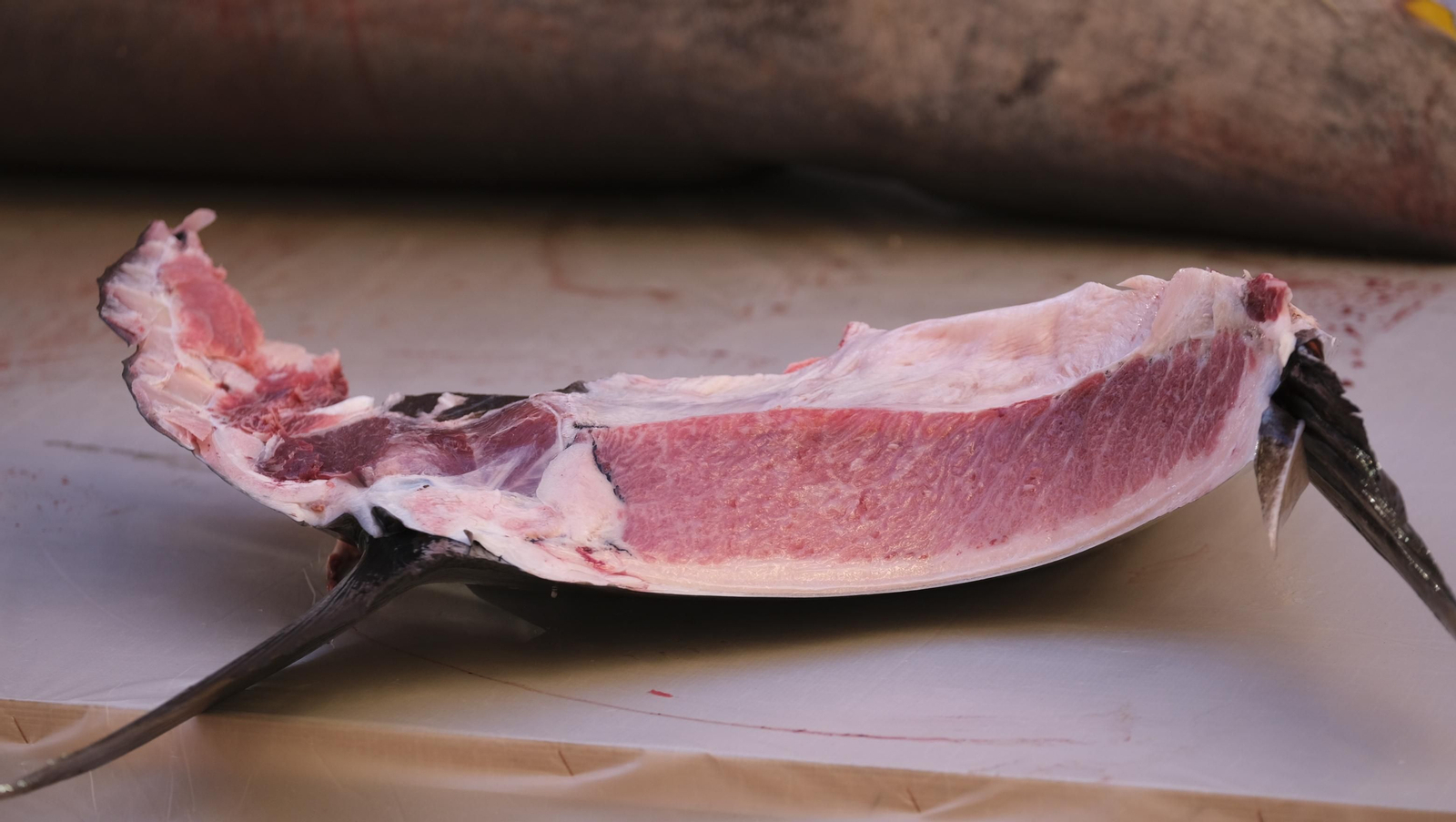 Jornadas del ronqueo del atún de almadraba en el Espacio Gastronómico Tony García, en Almería