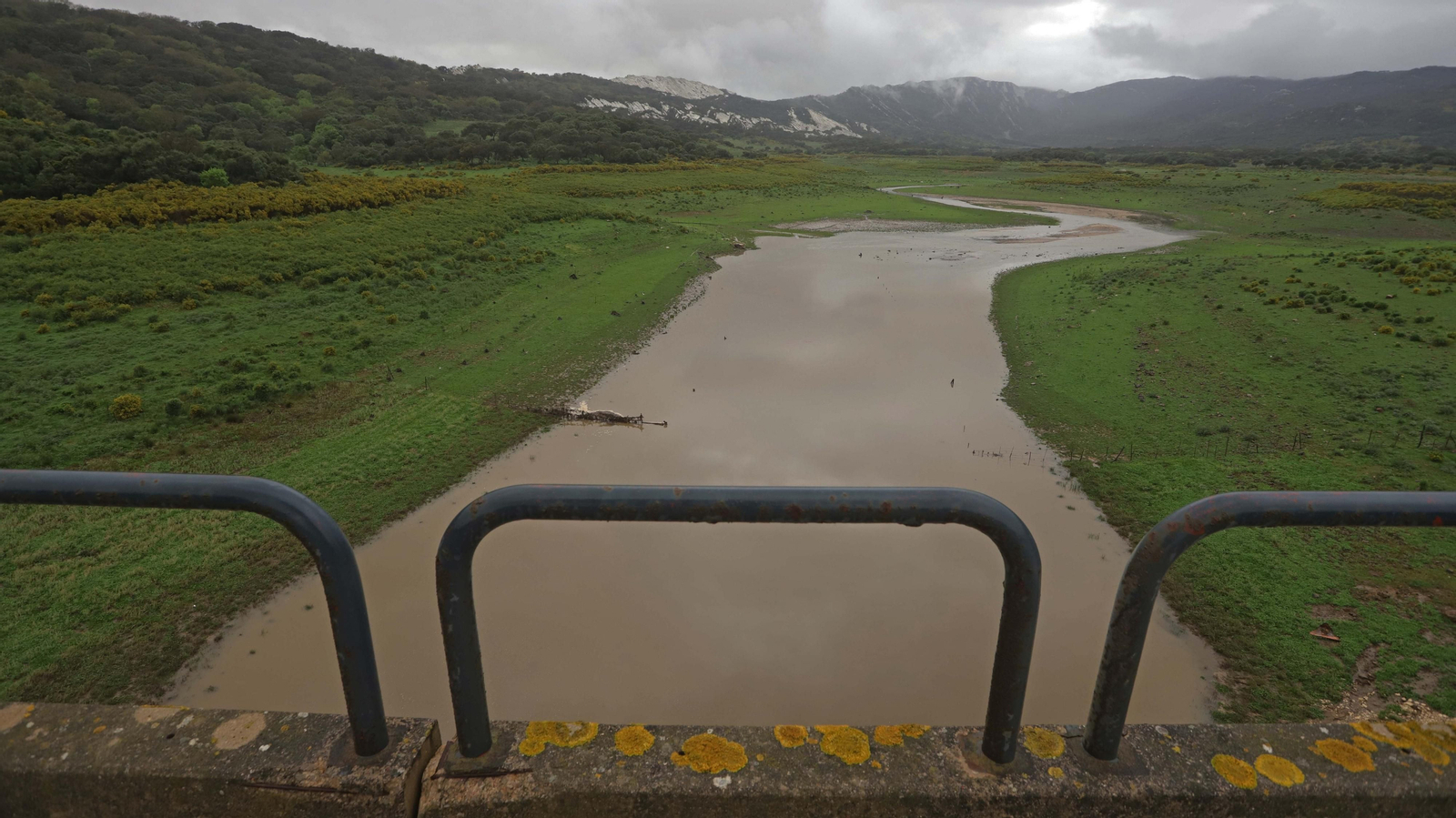 Fotos del pantano de Charco Redondo