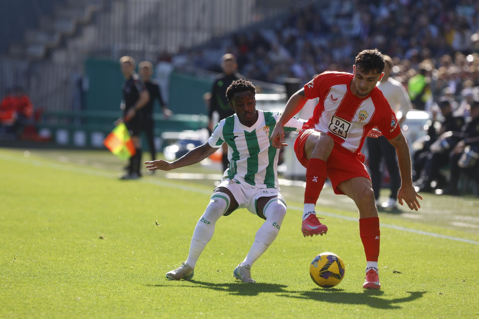 Las mejores fotos del ambiente en el Córdoba CF - Almería en El Arcángel