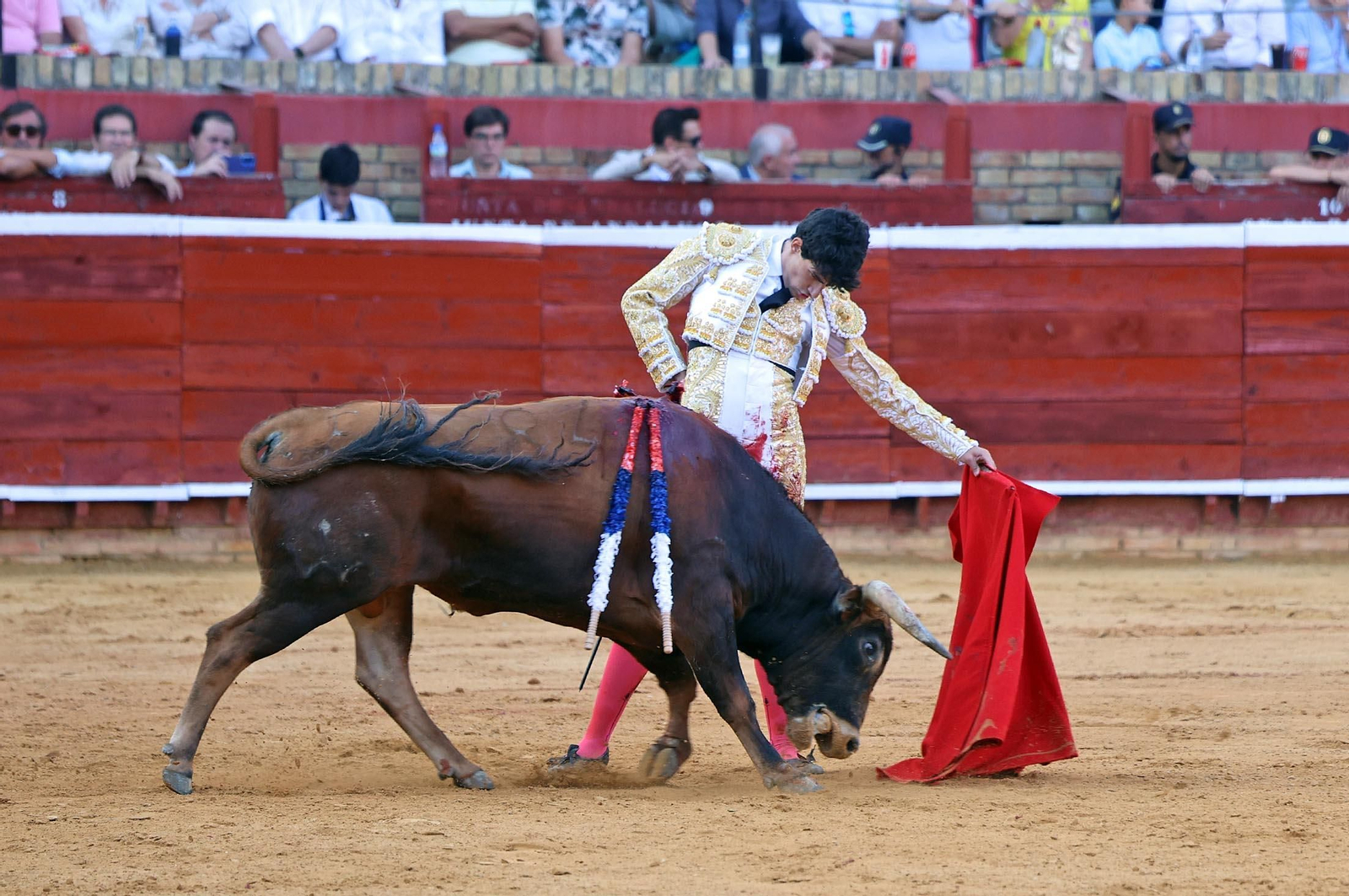 Toros La Merced 2025: Imágenes de la Novillada de Javier Zulueta, Cristian González y Carlos Tirado