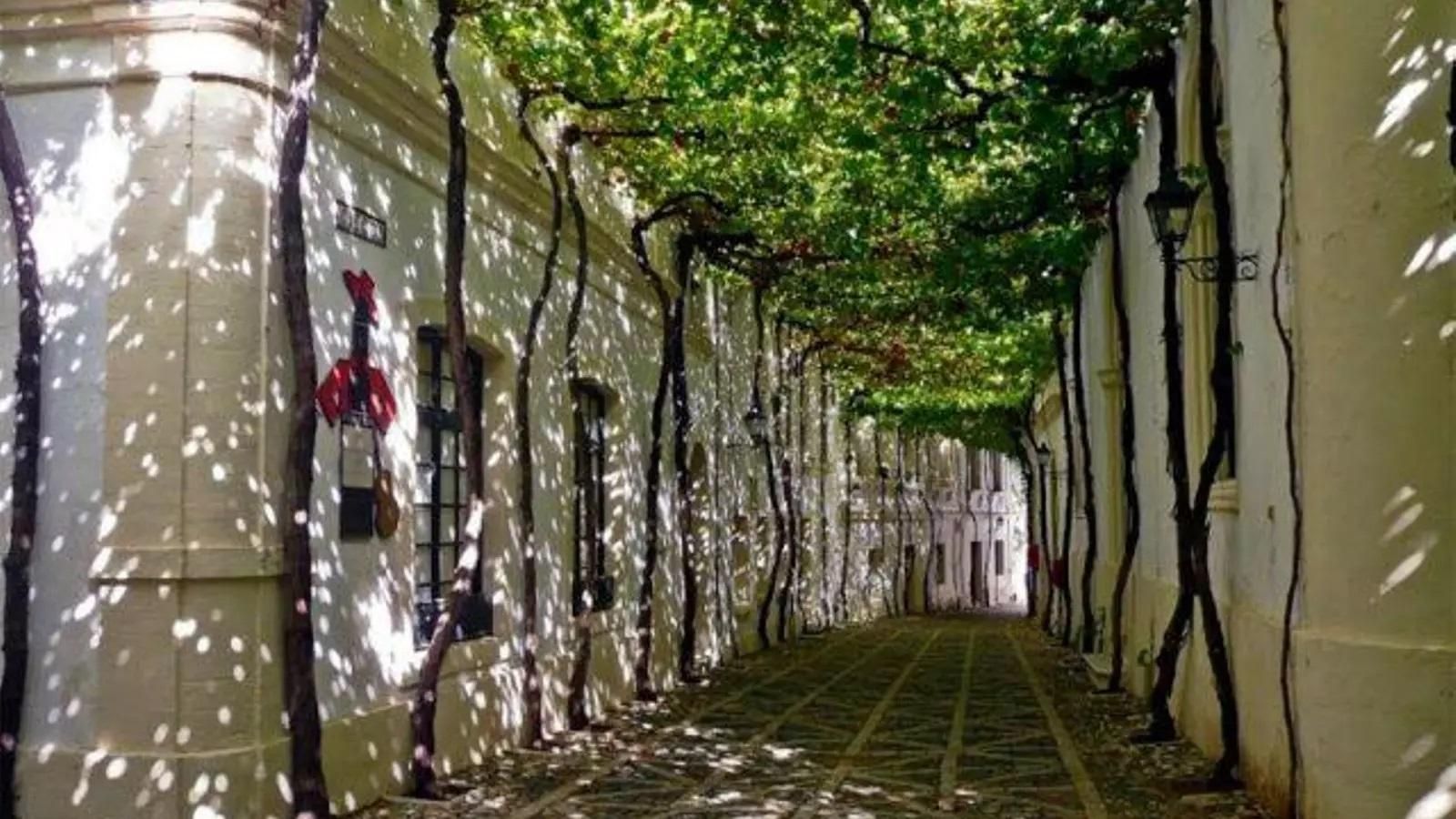 Calle Ciegos, Jerez.