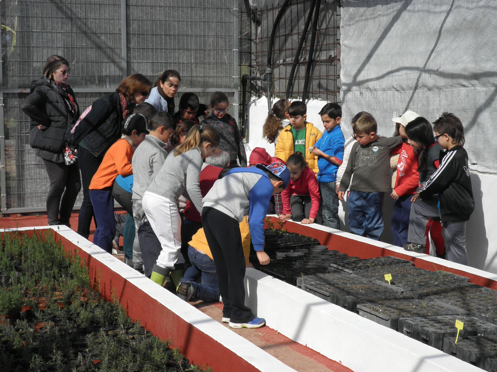 Actividades ambientales en el Aula de al Naturaleza de Puerto Real