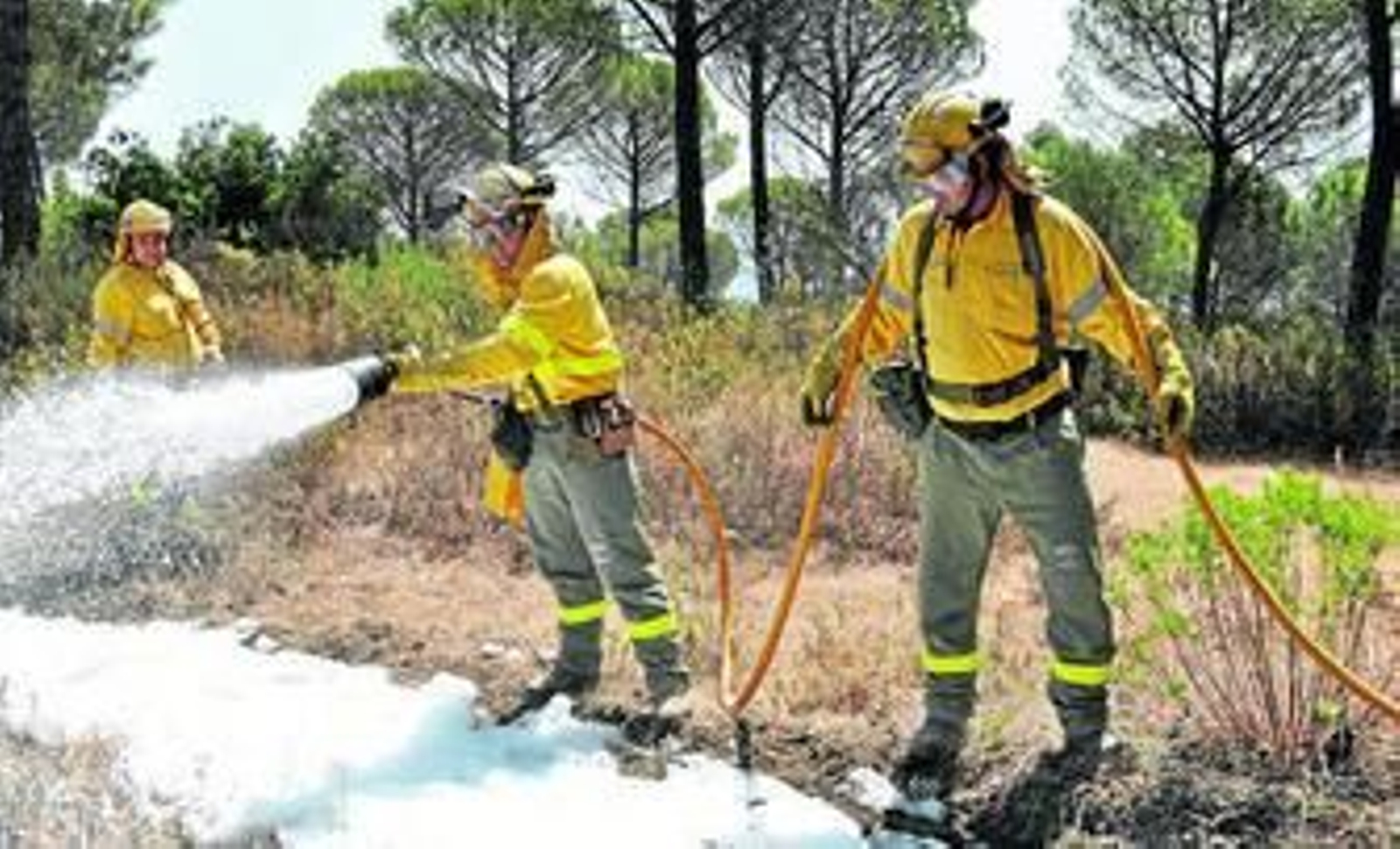 La defensa de la naturaleza
