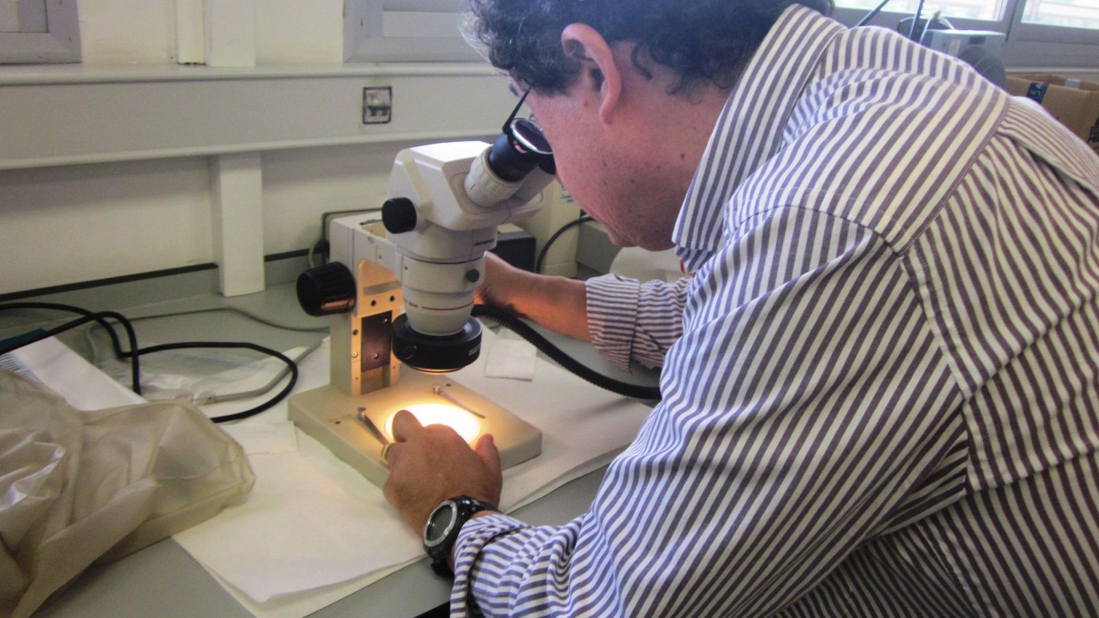 Juan Francisco Mota Poveda, trabajando con una muestra.
