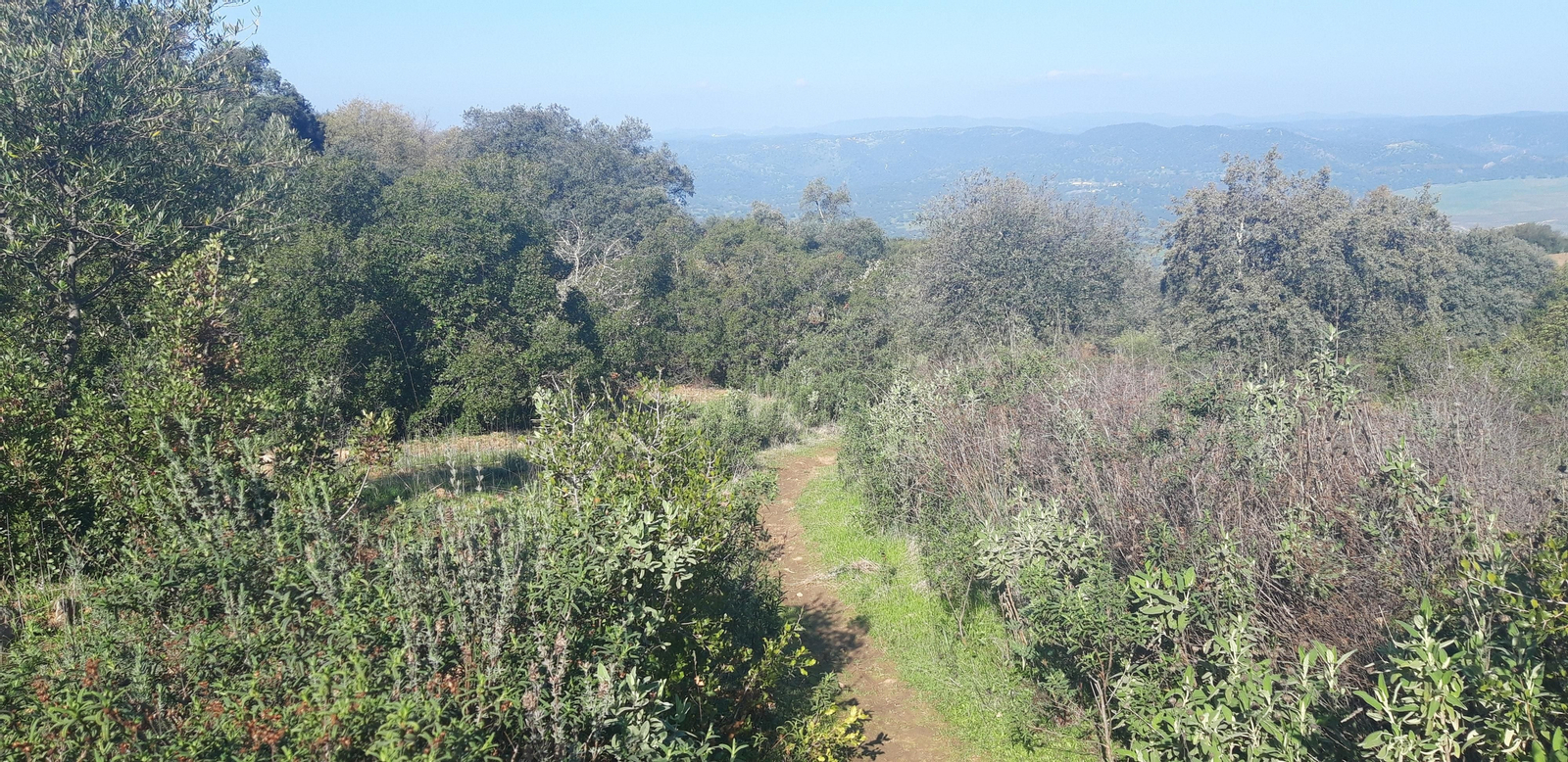 Circular de Las Palomas en La Puebla de los Infantes