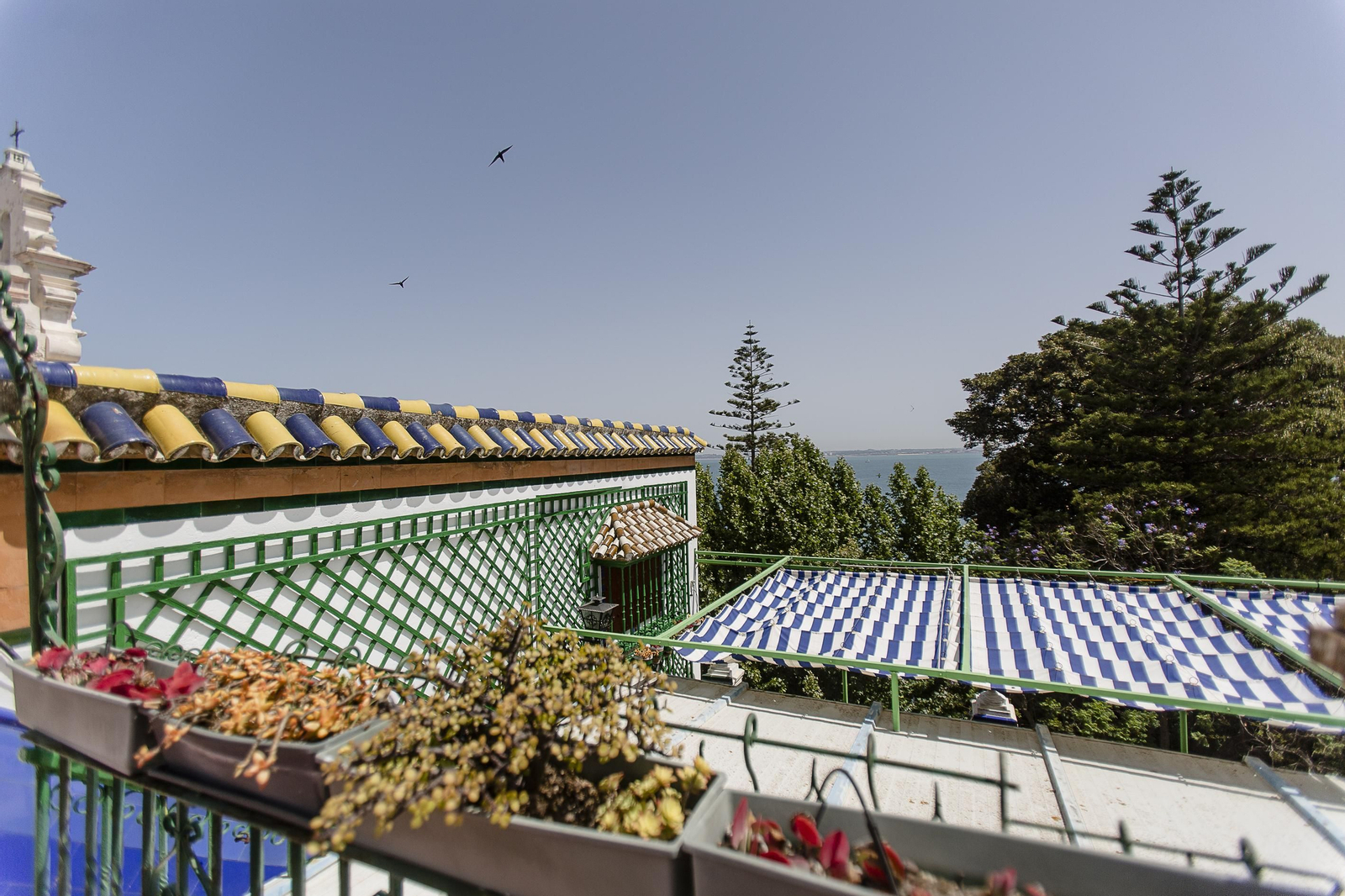 De andar por casa: Las imágenes de la casa de la Alameda