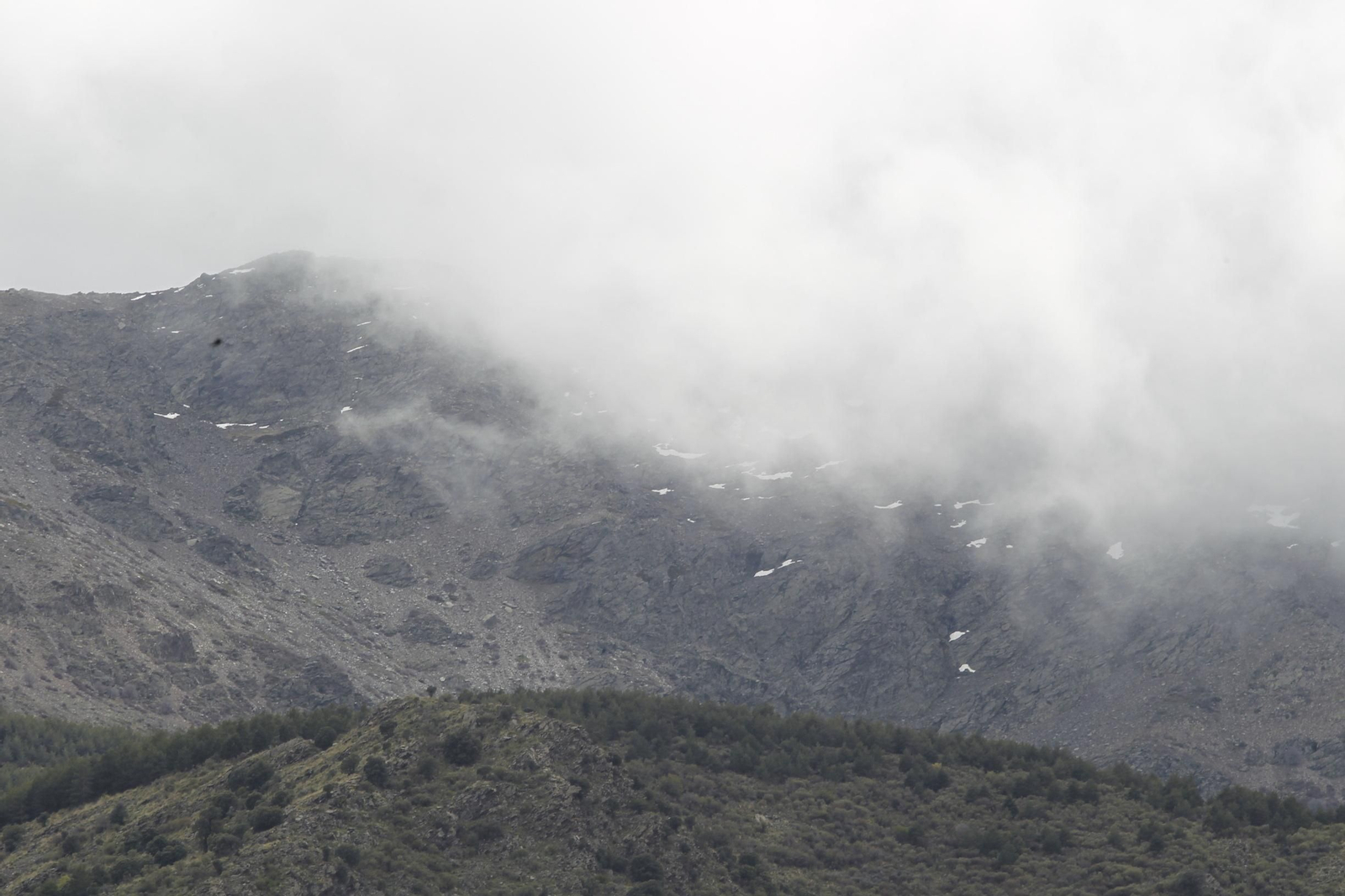 Naturaleza desconfinada. La Roza (Abrucena)