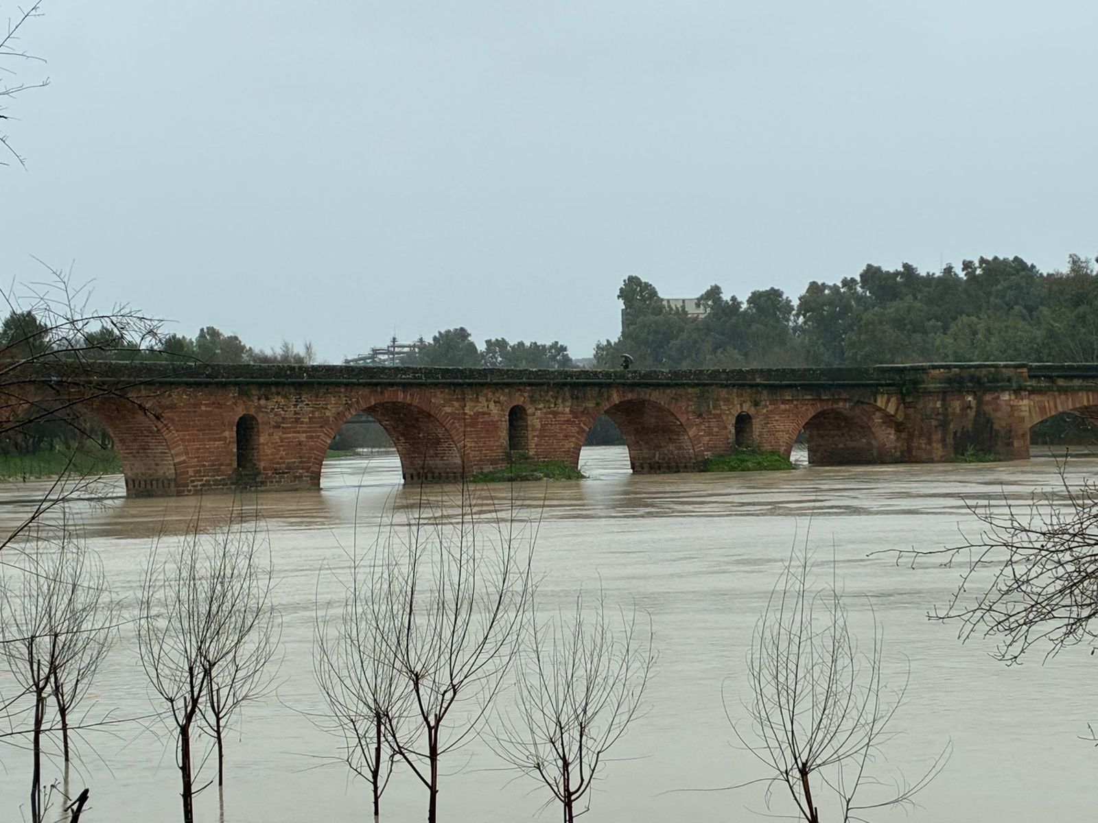 ANDÚJAR. Paso del Guadalquivir a su paso por el Puente Viejo.