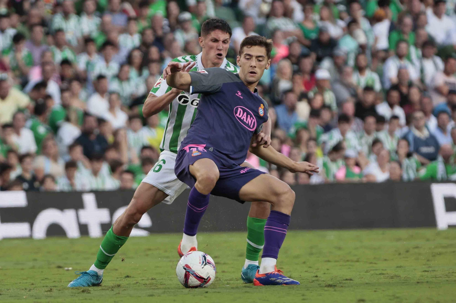 Las mejores fotos del Betis - Espanyol