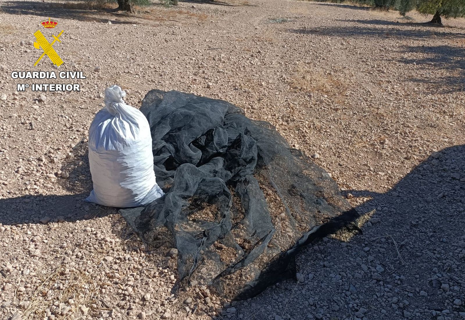 Saco de almendras hurtadas de la finca de Cijuela