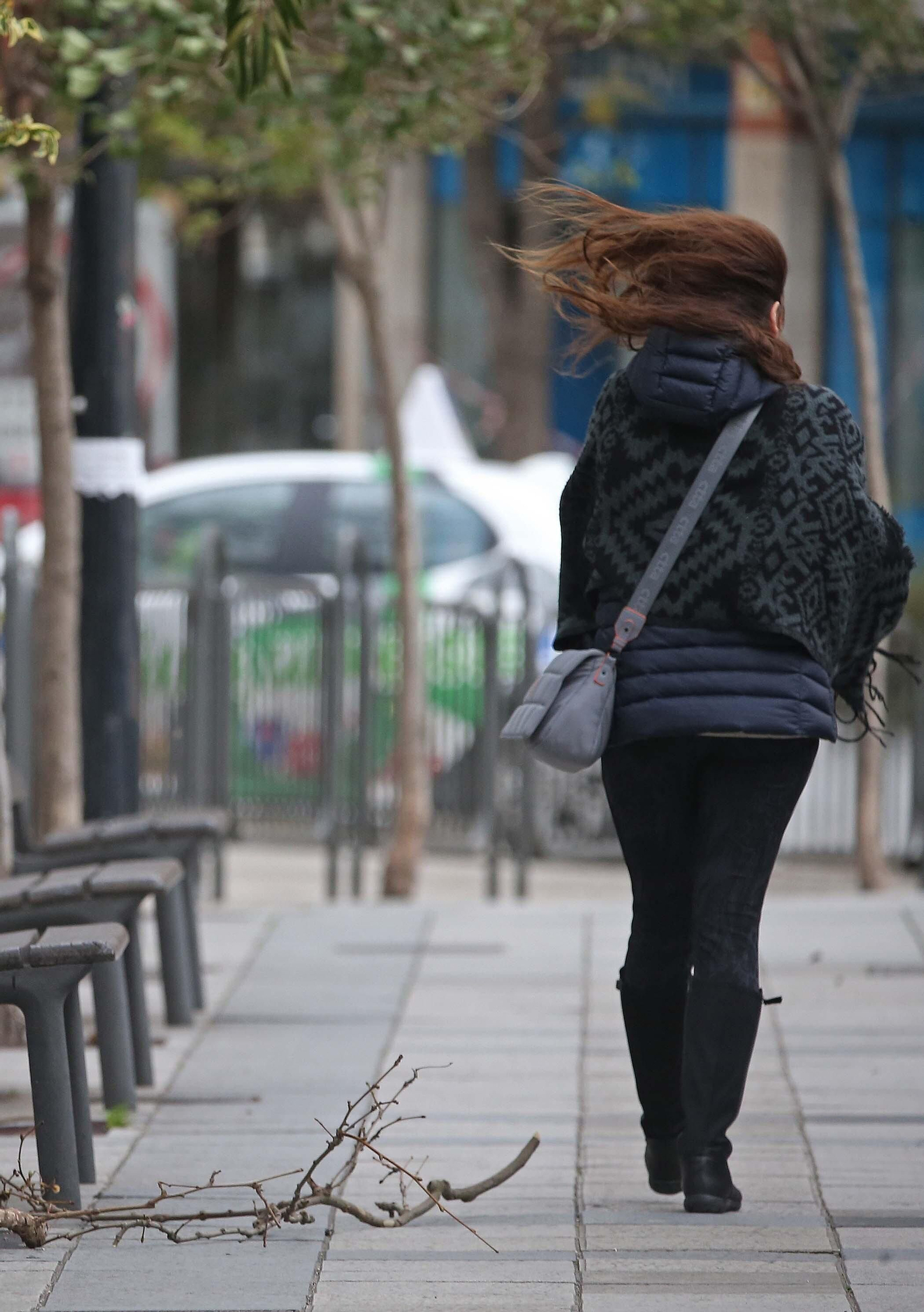Fotos de los efectos del temporal de viento en Algeciras