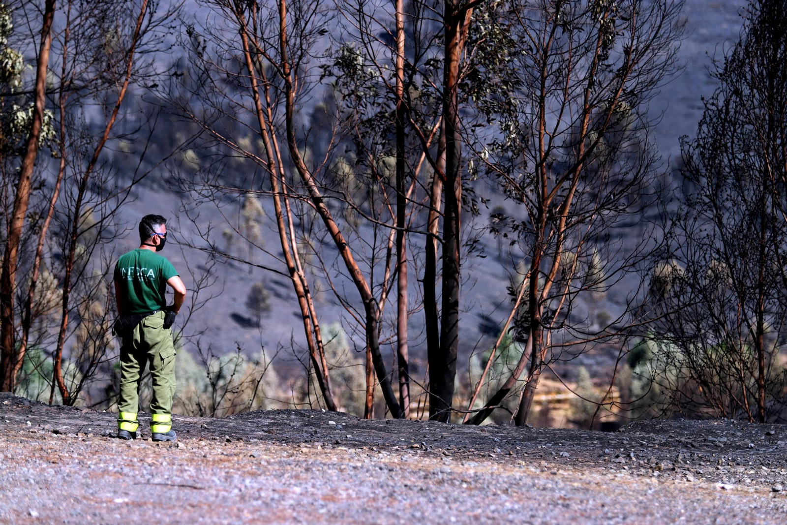 Imágenes de las zonas devastadas por el incendio de Almonaster la Real