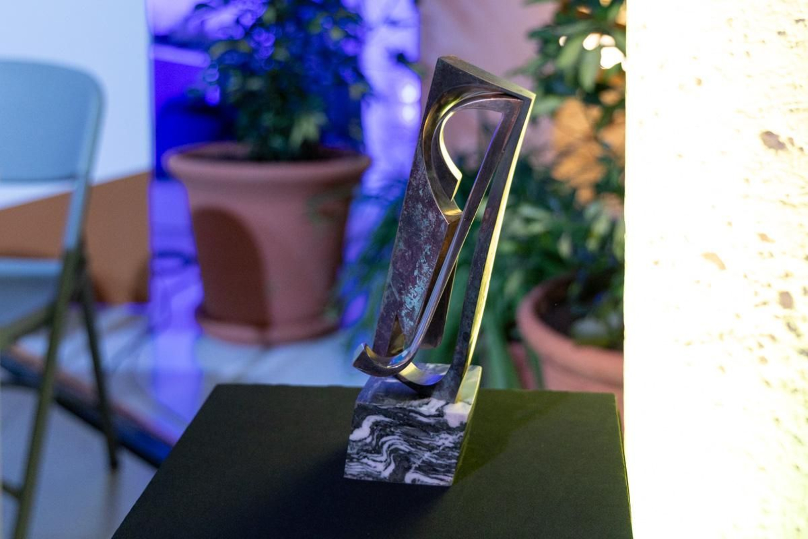 Homenaje a Luis Berges Roldán por el 40 aniversario de premio Europa Nostra a la restauración de los Baños Árabes de Jaén