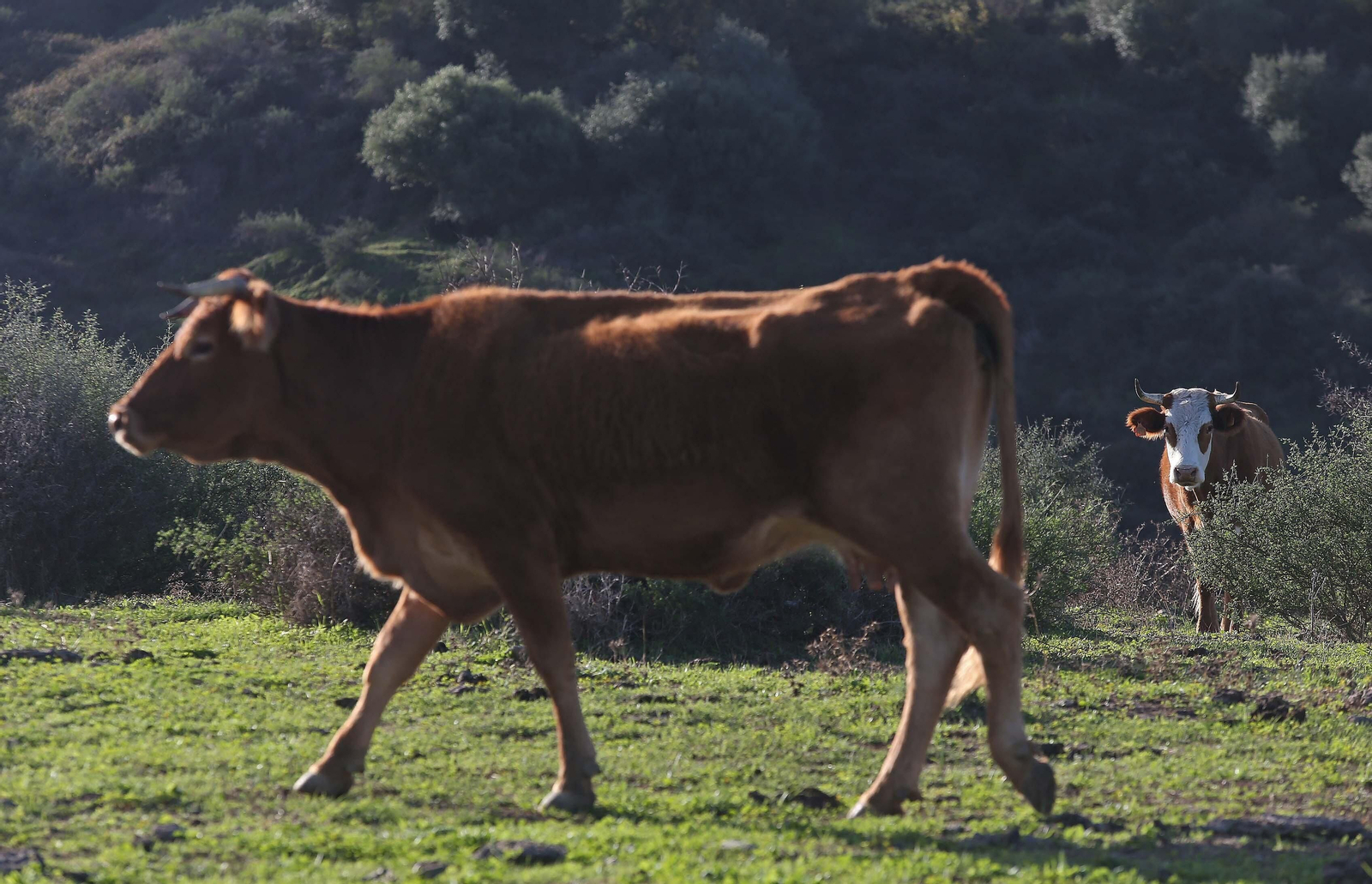 Imágenes del acuífero de la Huerta de Las Pilas en Algeciras